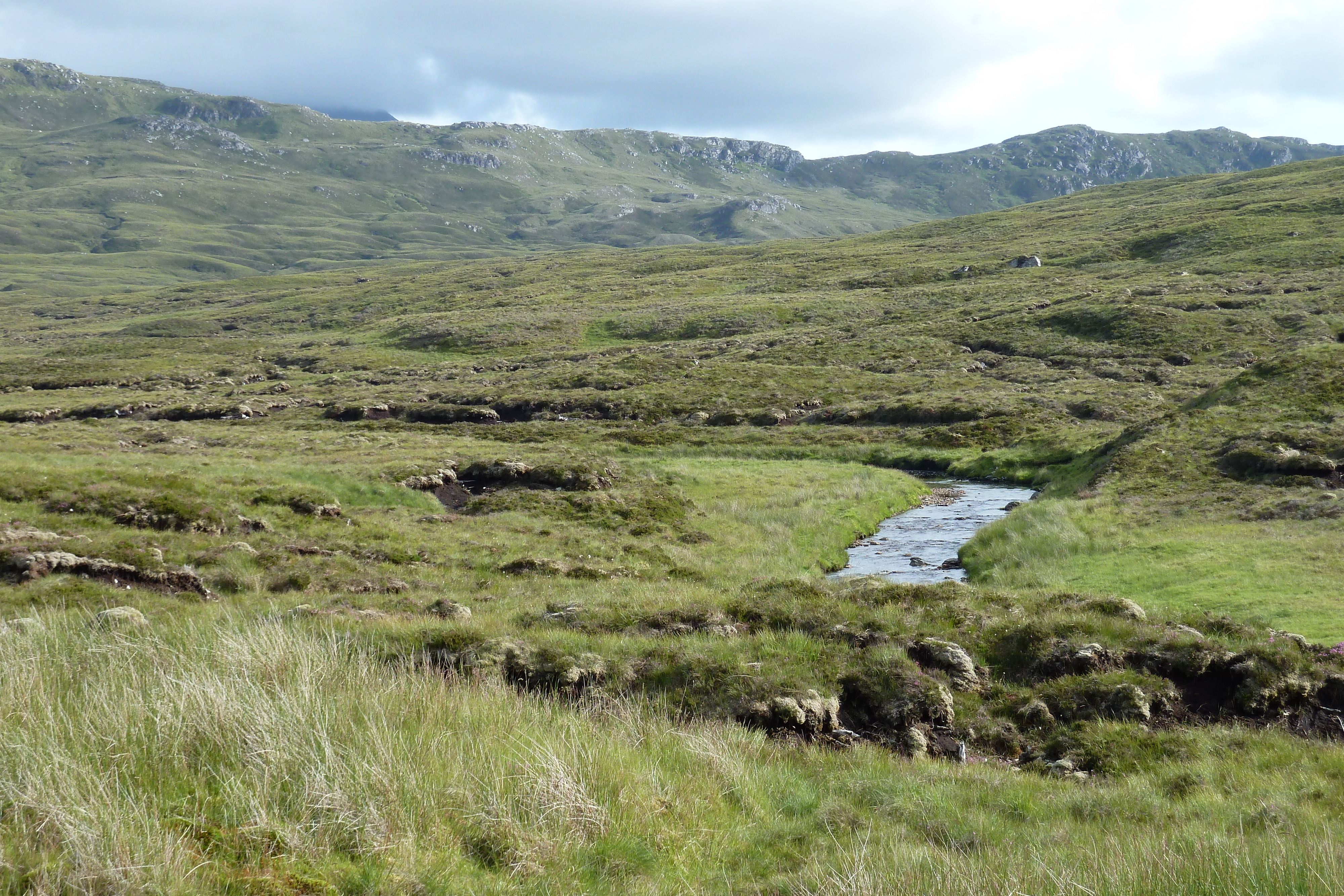 Picture United Kingdom Wester Ross 2011-07 19 - Center Wester Ross