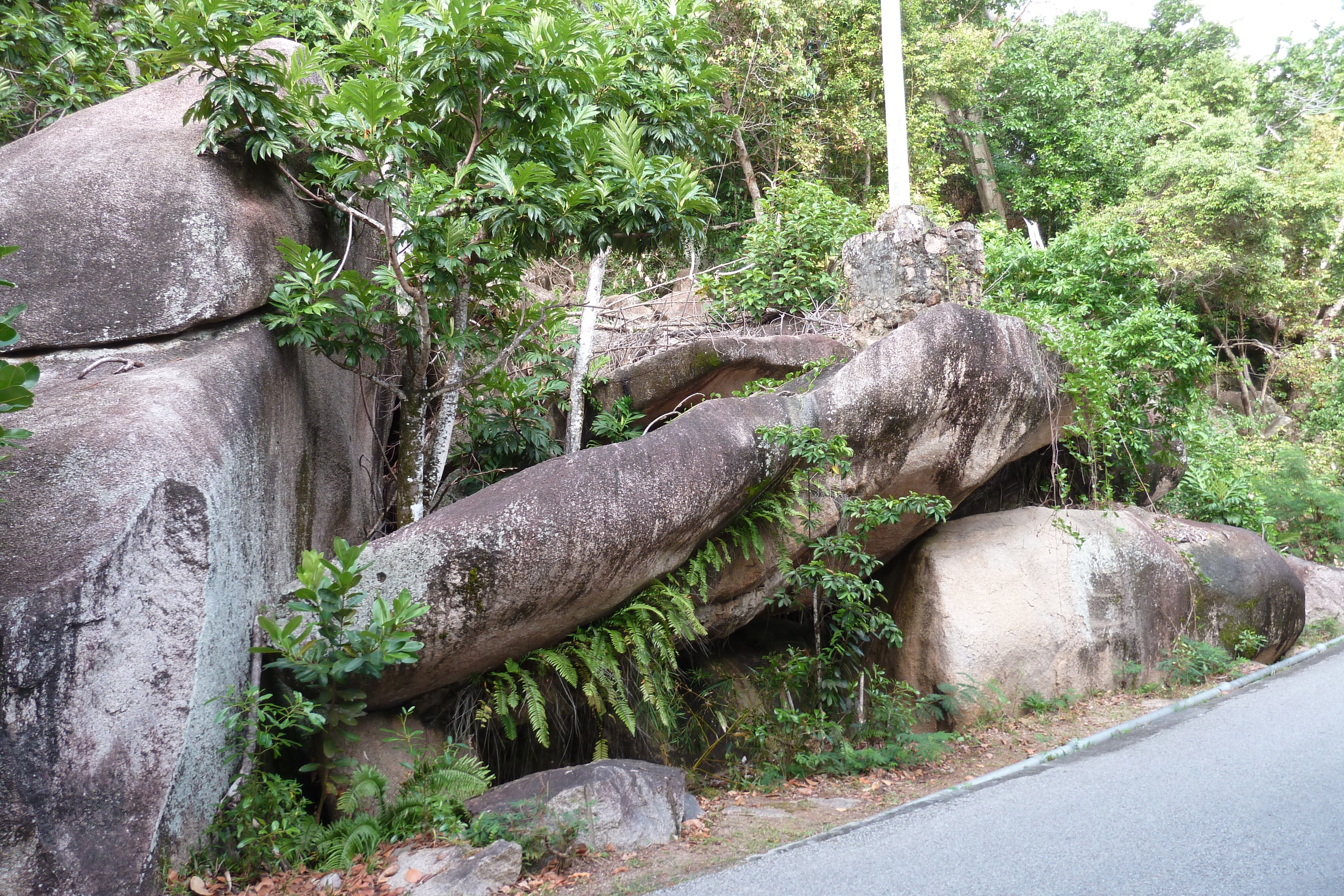 Picture Seychelles Praslin 2011-10 11 - Around Praslin