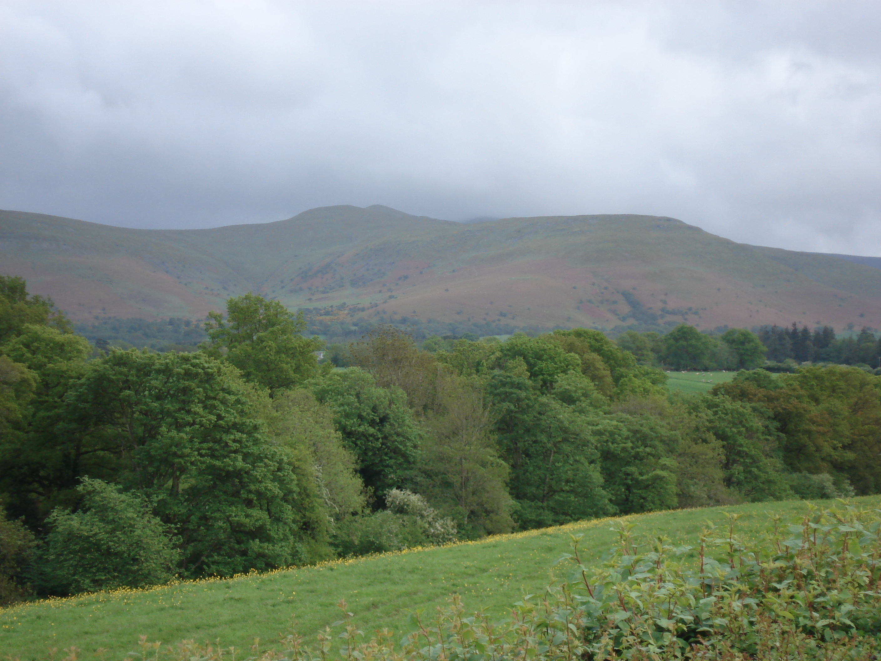 Picture United Kingdom Brecon Beacons National Parc 2006-05 124 - Center Brecon Beacons National Parc