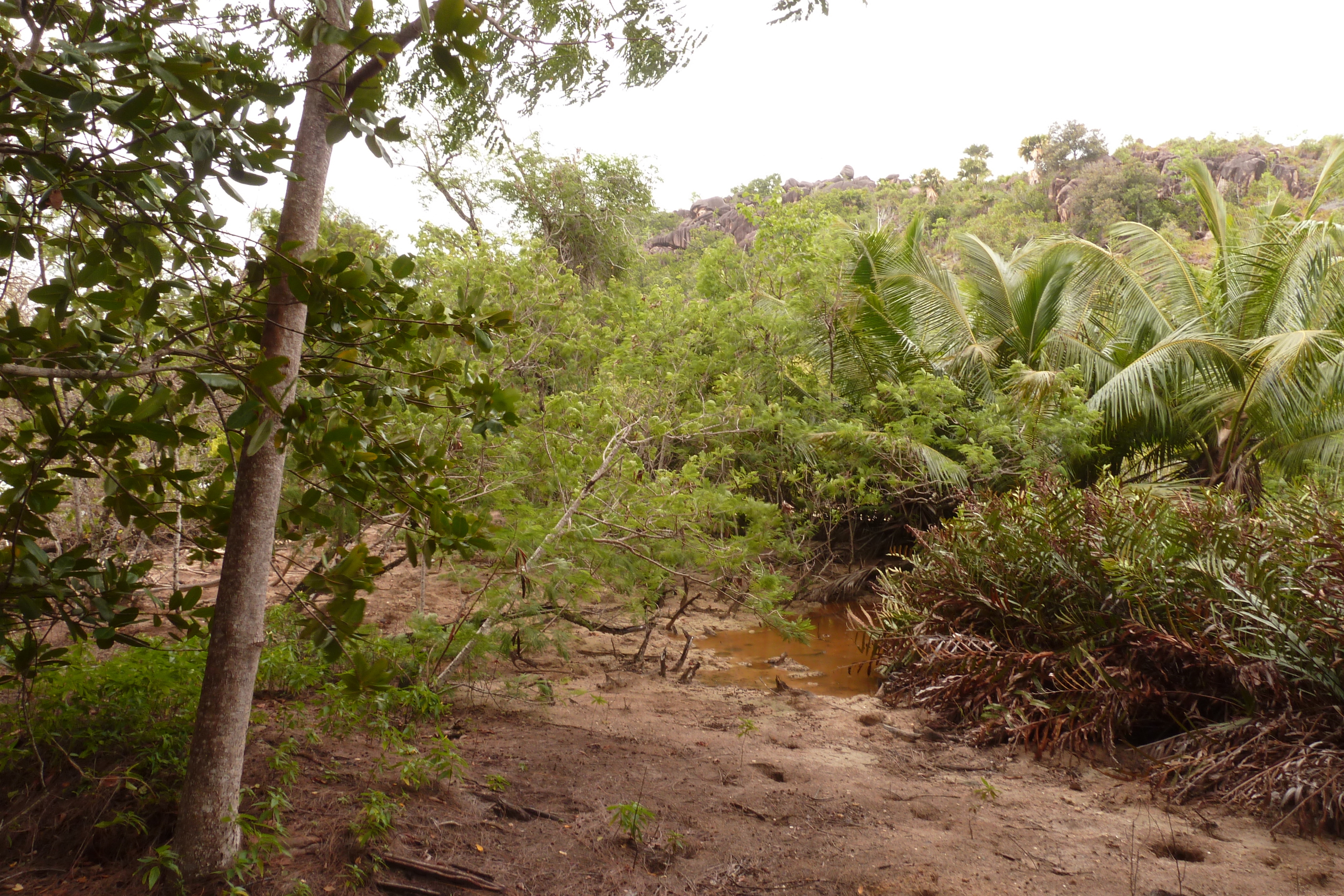 Picture Seychelles Curieuse 2011-10 54 - History Curieuse