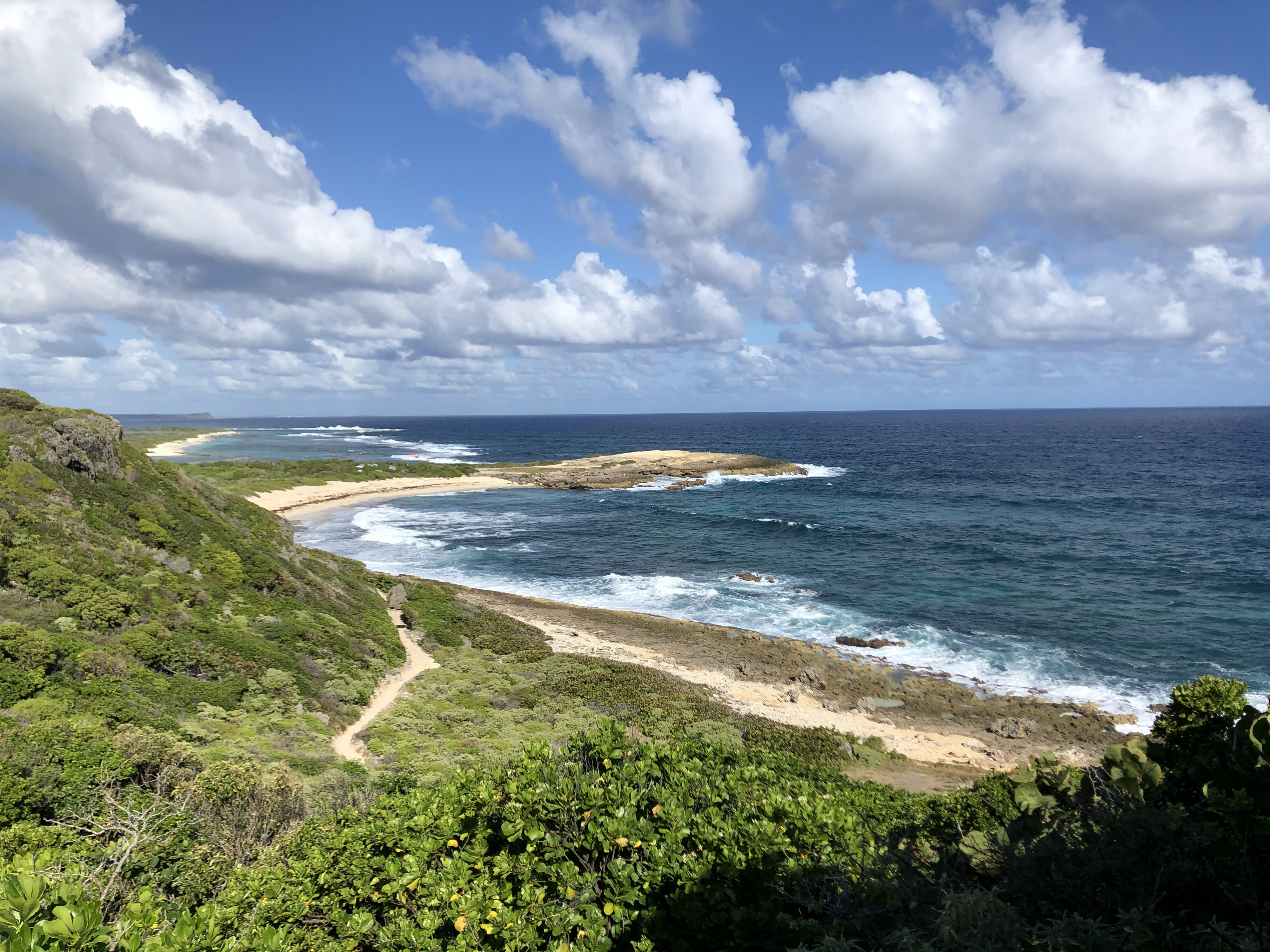 Picture Guadeloupe Castle Point 2021-02 103 - Around Castle Point