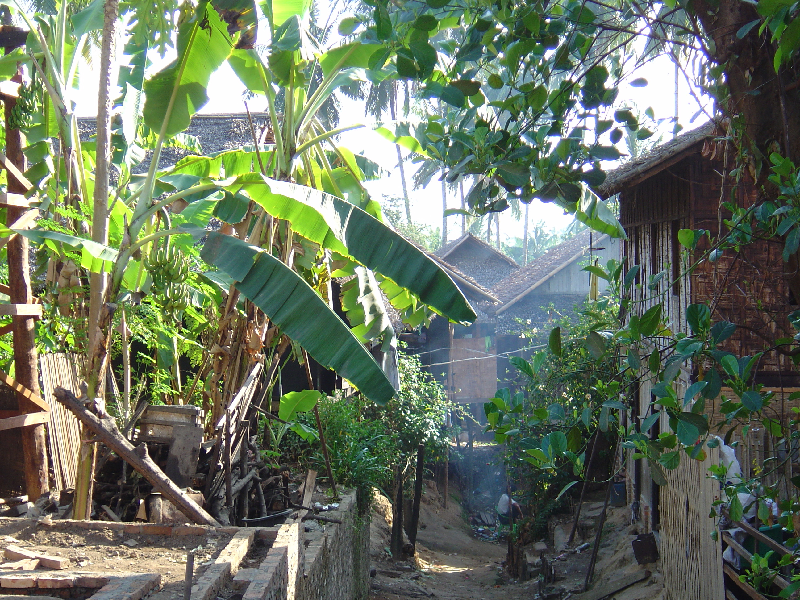 Picture Myanmar Myeik (Mergui) 2005-01 174 - Center Myeik (Mergui)