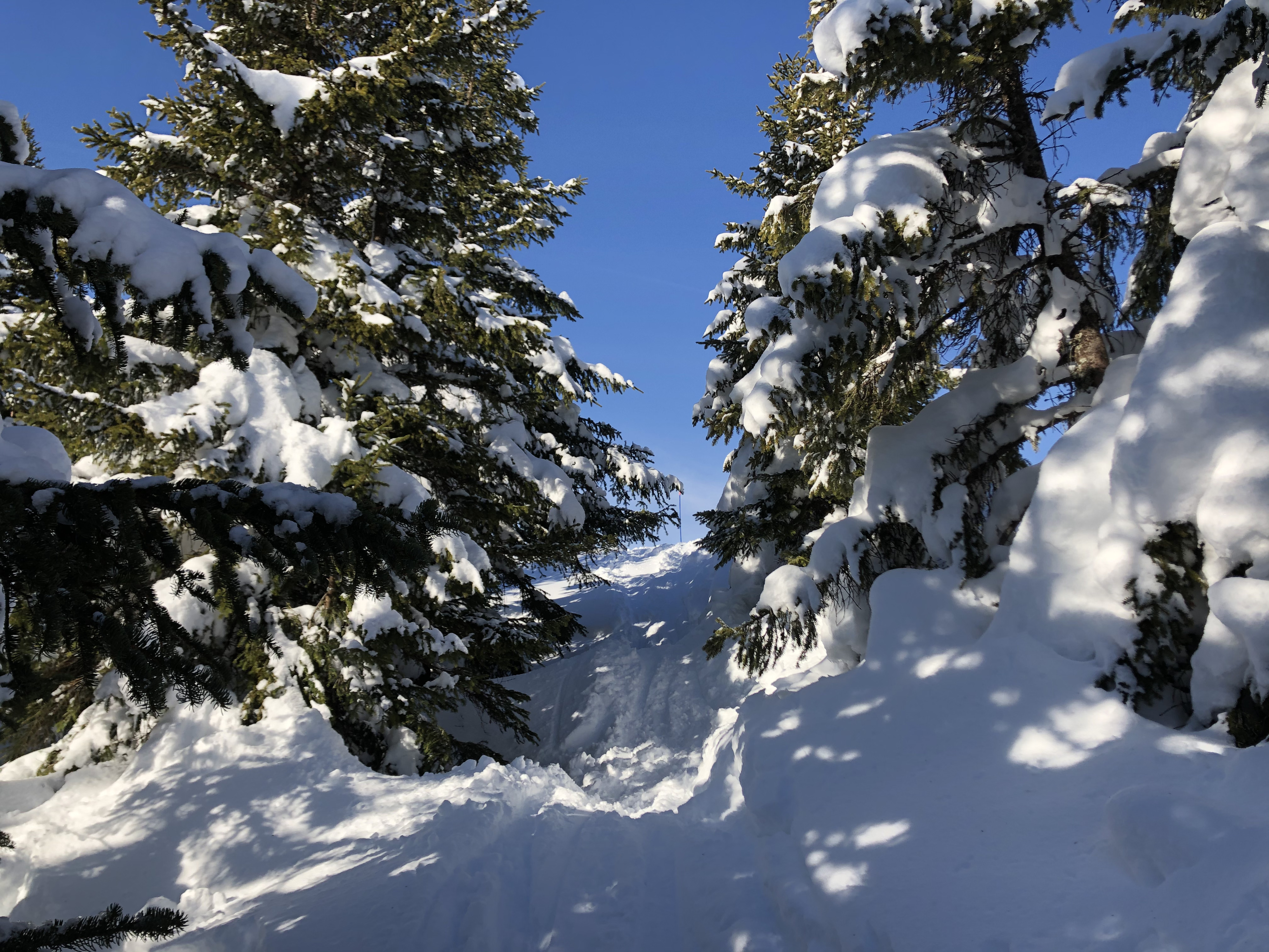 Picture France Praz sur Arly 2019-12 189 - Center Praz sur Arly