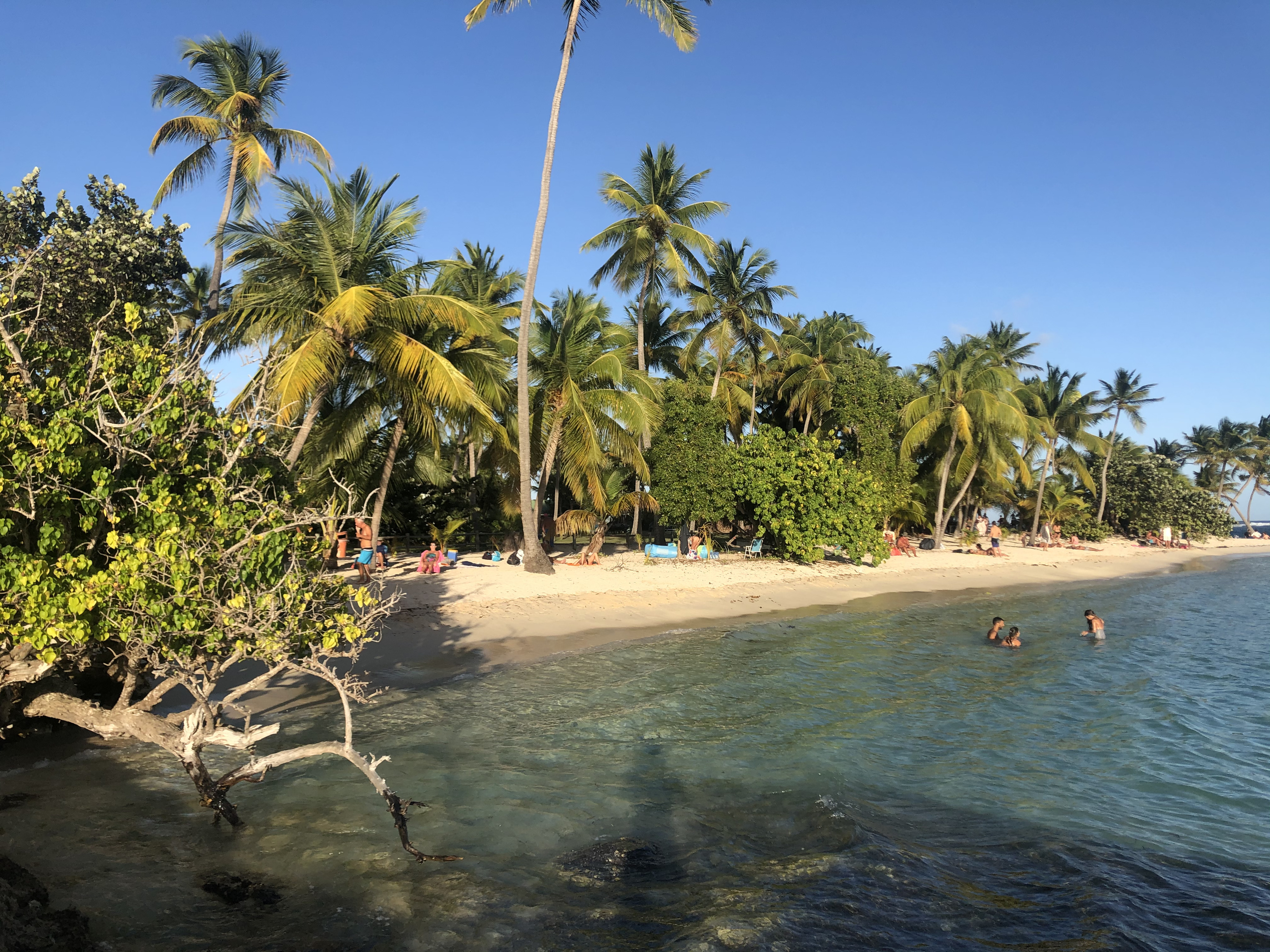 Picture Guadeloupe La Caravelle Beach 2021-02 152 - Journey La Caravelle Beach