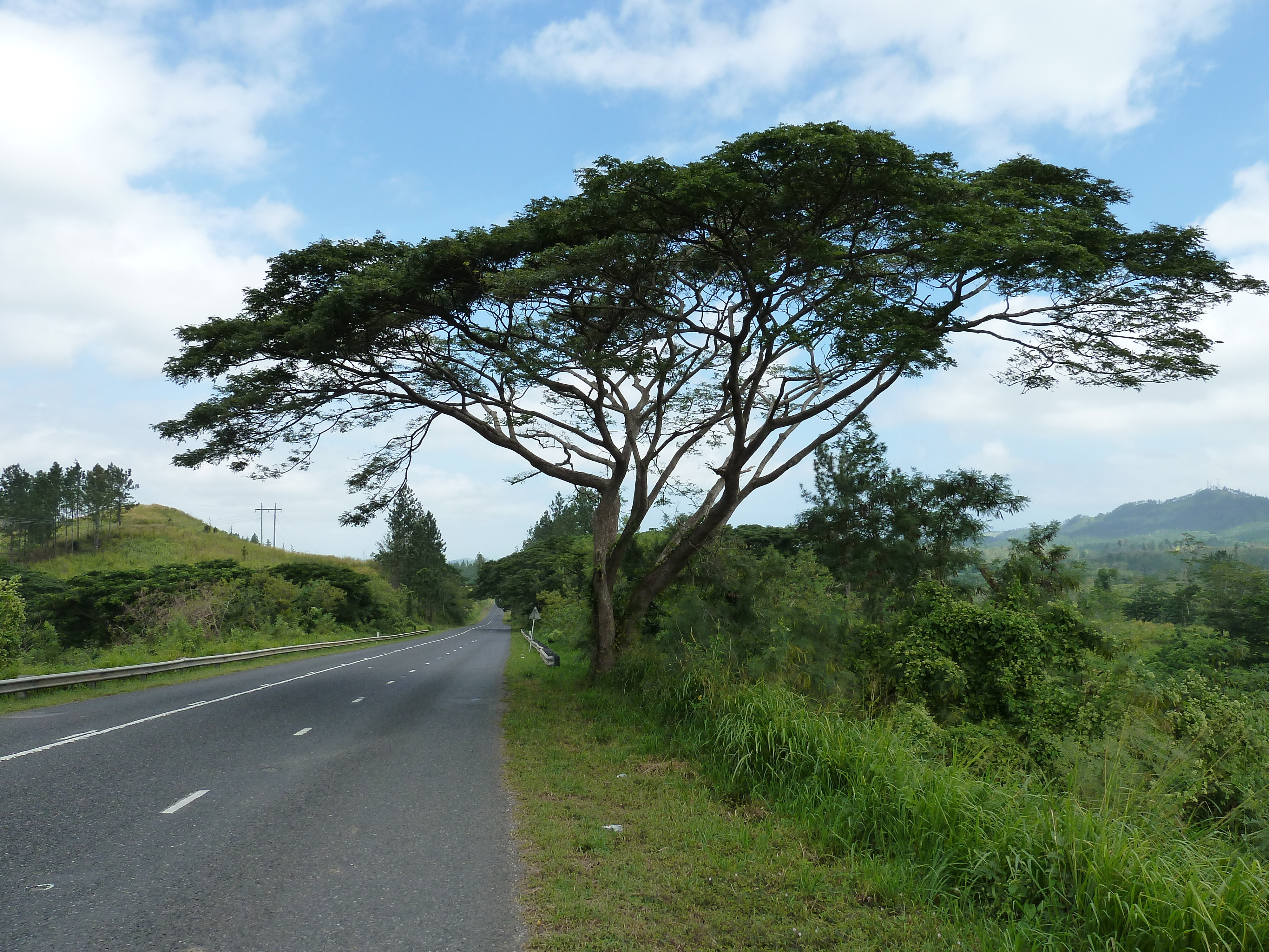 Picture Fiji Nadi to Natadola road 2010-05 20 - Tours Nadi to Natadola road