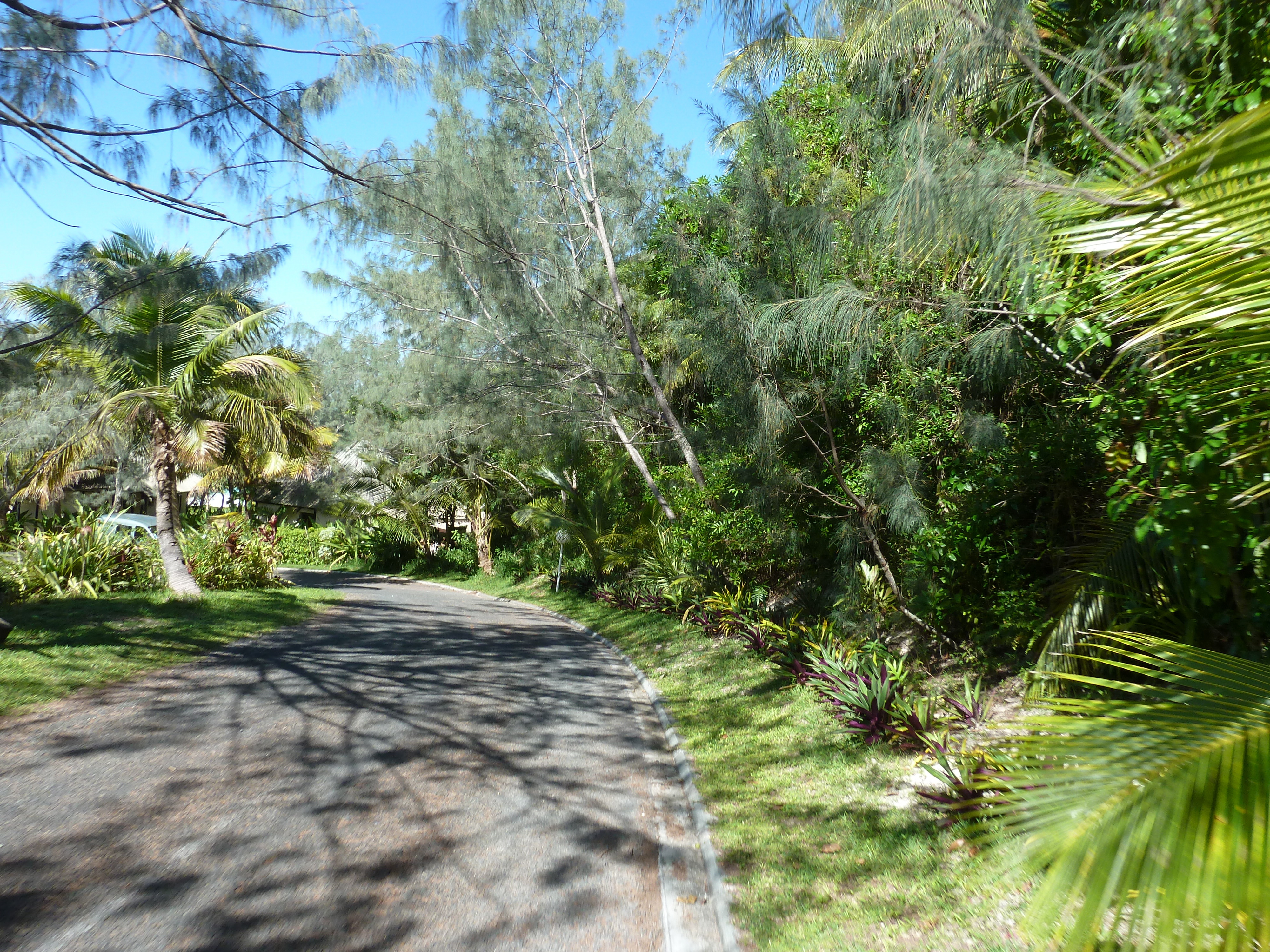 Picture New Caledonia Lifou Drehu Village Hotel 2010-05 67 - Journey Drehu Village Hotel