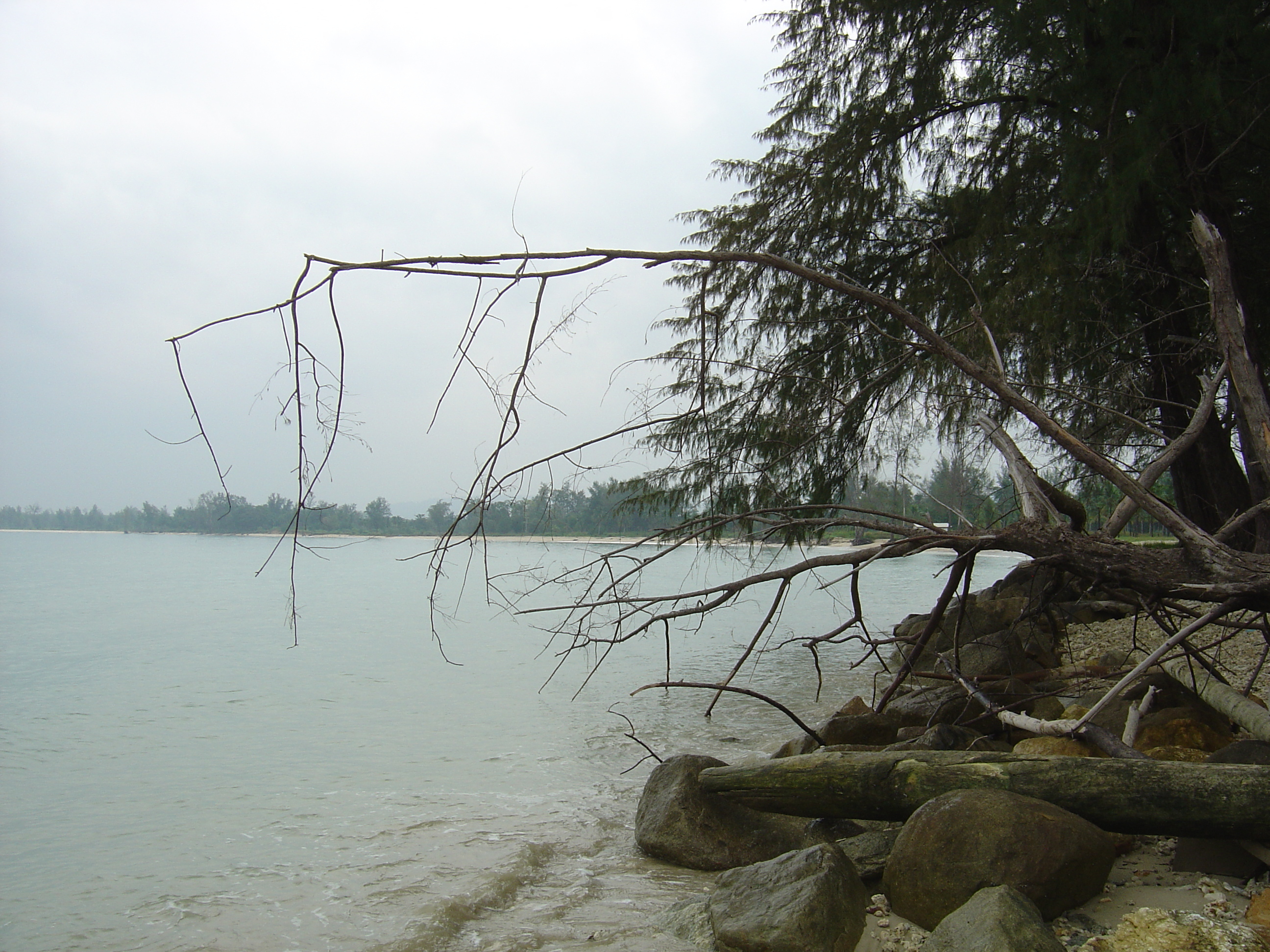 Picture Thailand Khao Lak Bang Sak Beach 2005-12 83 - Center Bang Sak Beach