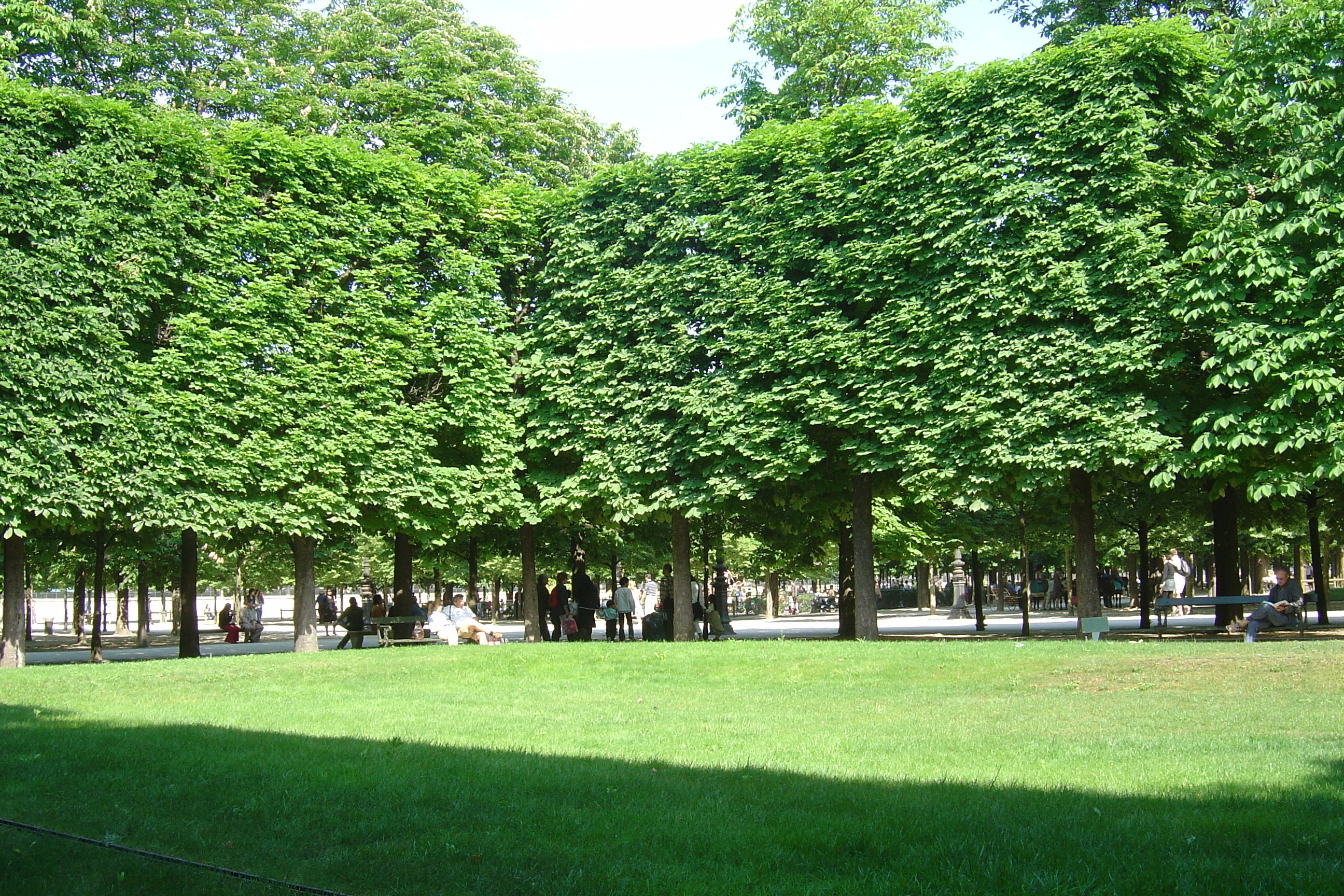 Picture France Paris Garden of Tuileries 2007-05 353 - Discovery Garden of Tuileries