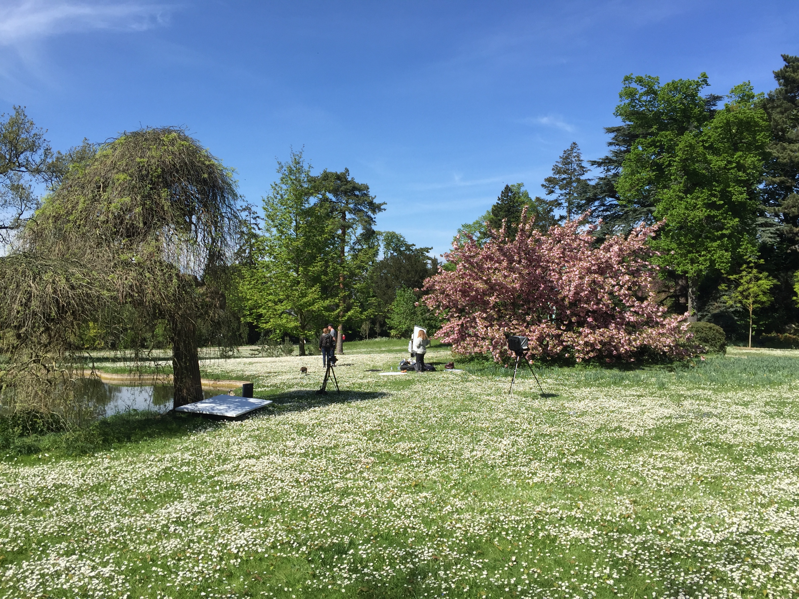 Picture France Paris Bagatelles 2017-04 18 - Around Bagatelles