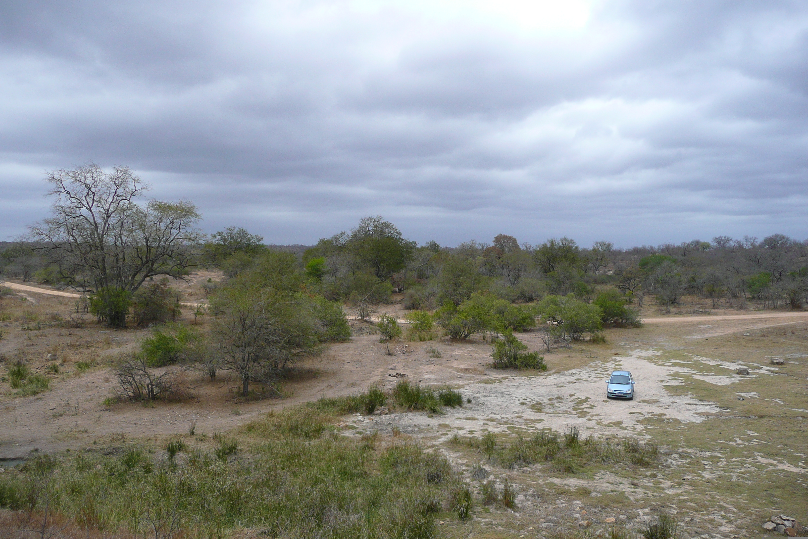 Picture South Africa Kruger National Park Mpondo 2008-09 43 - Journey Mpondo