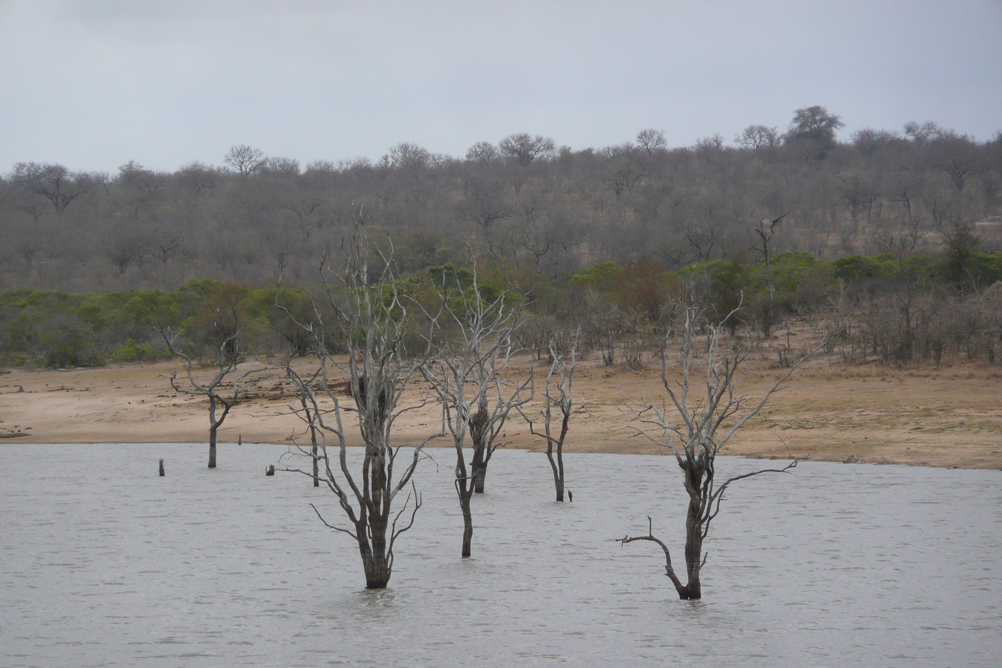 Picture South Africa Kruger National Park Mpondo 2008-09 2 - Discovery Mpondo