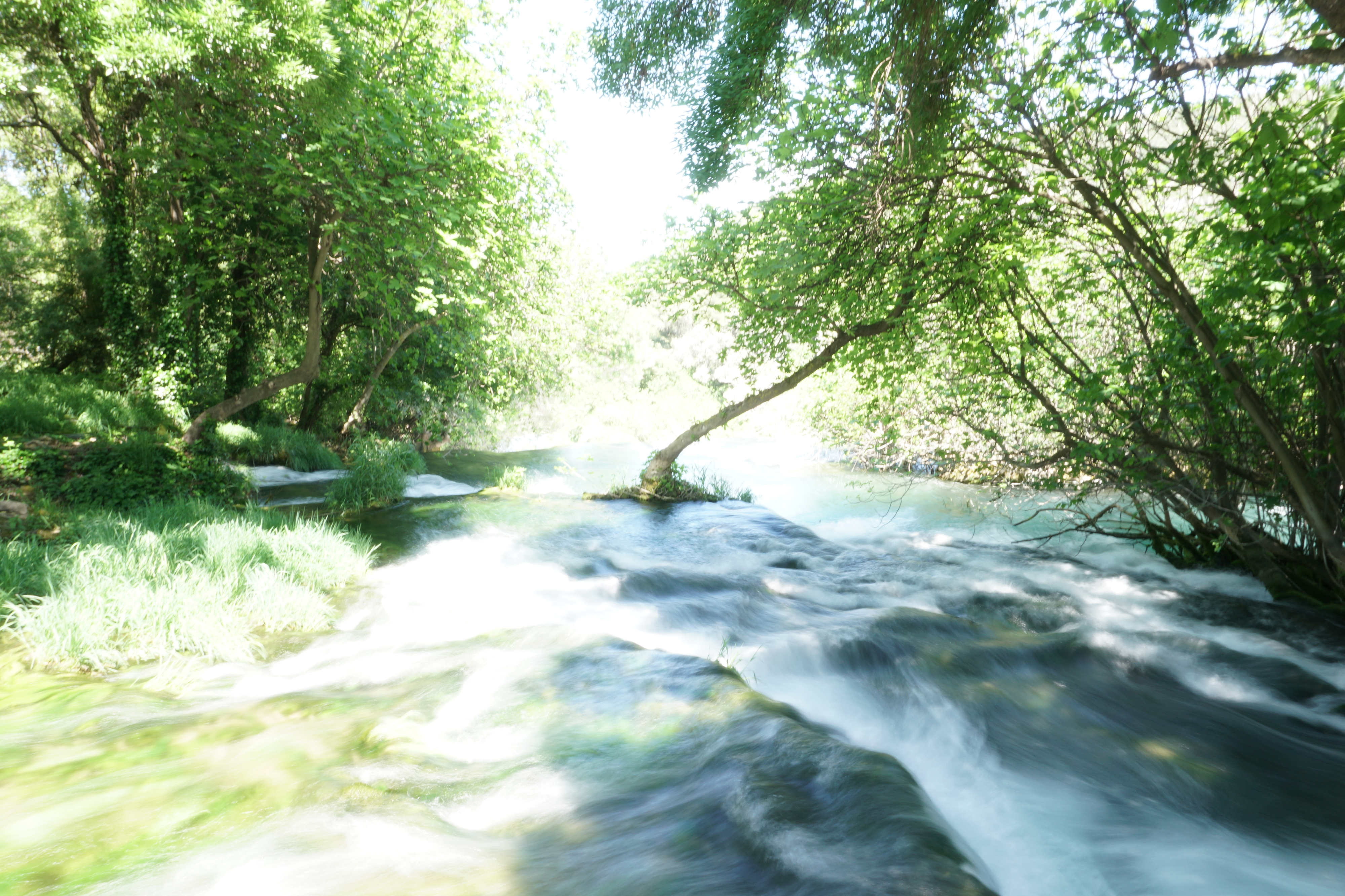 Picture Croatia Krka National Park 2016-04 103 - Center Krka National Park