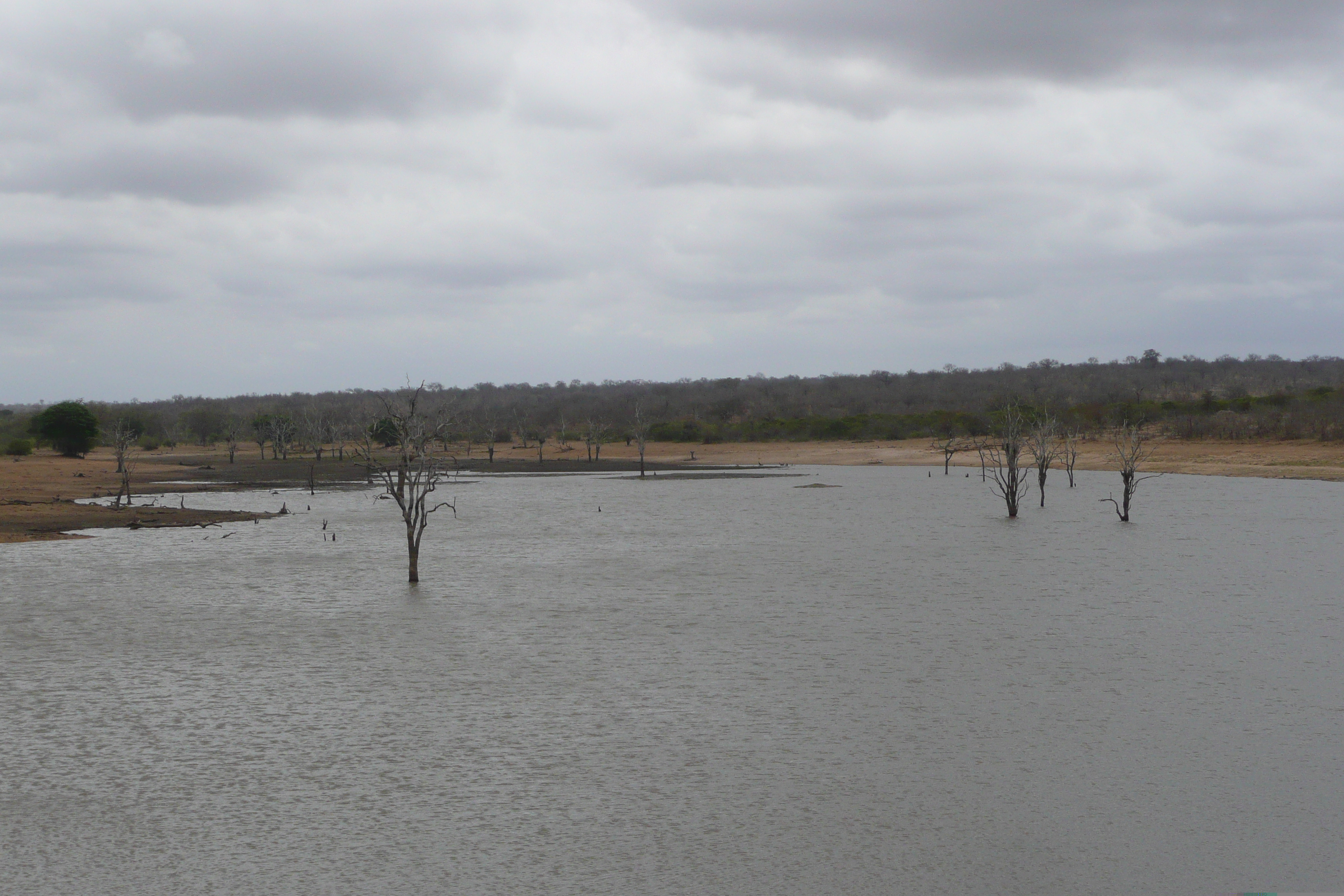 Picture South Africa Kruger National Park Mpondo 2008-09 15 - Discovery Mpondo