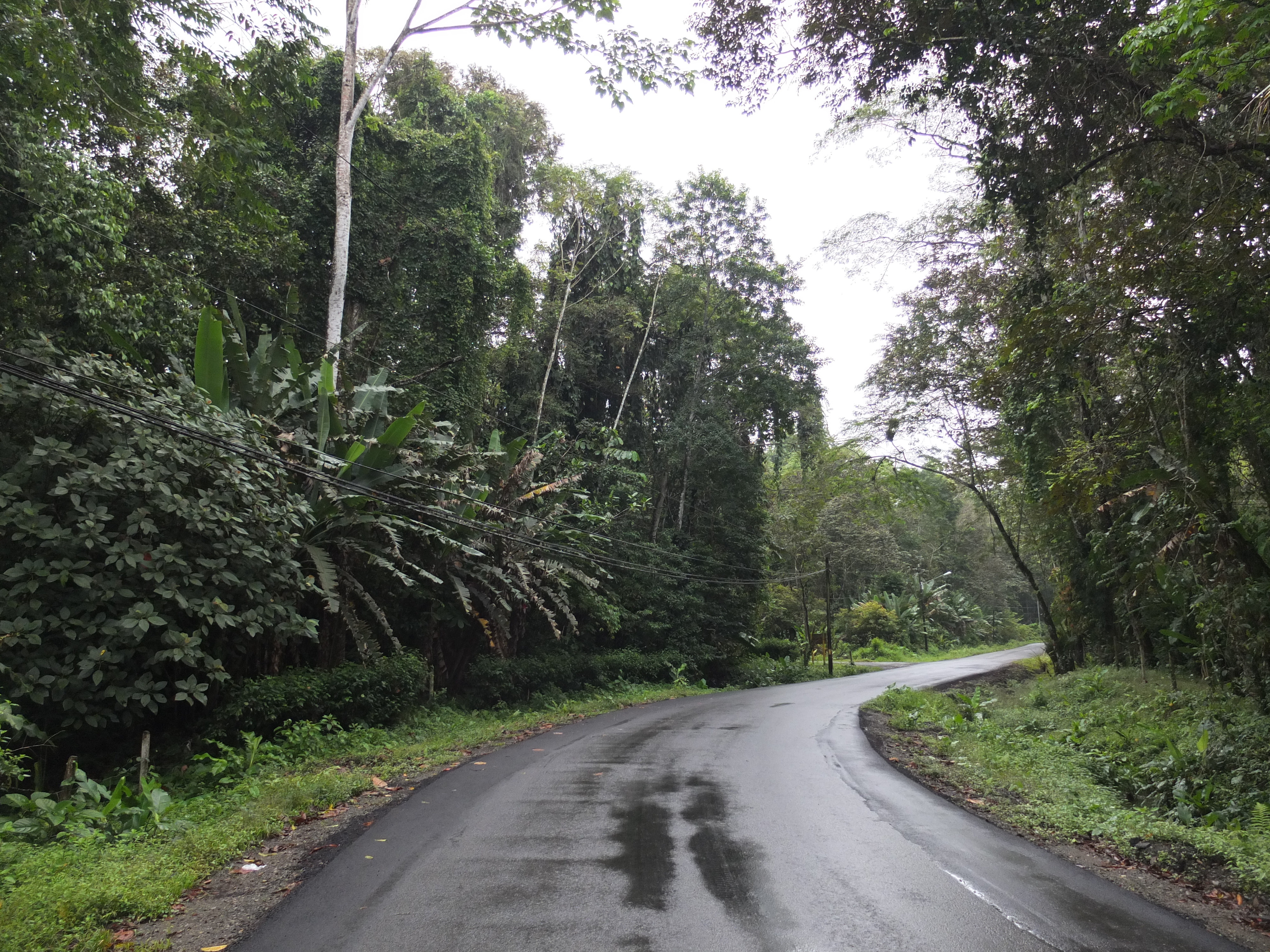 Picture Costa Rica Puerto Viejo de Talamanca 2015-03 37 - Center Puerto Viejo de Talamanca