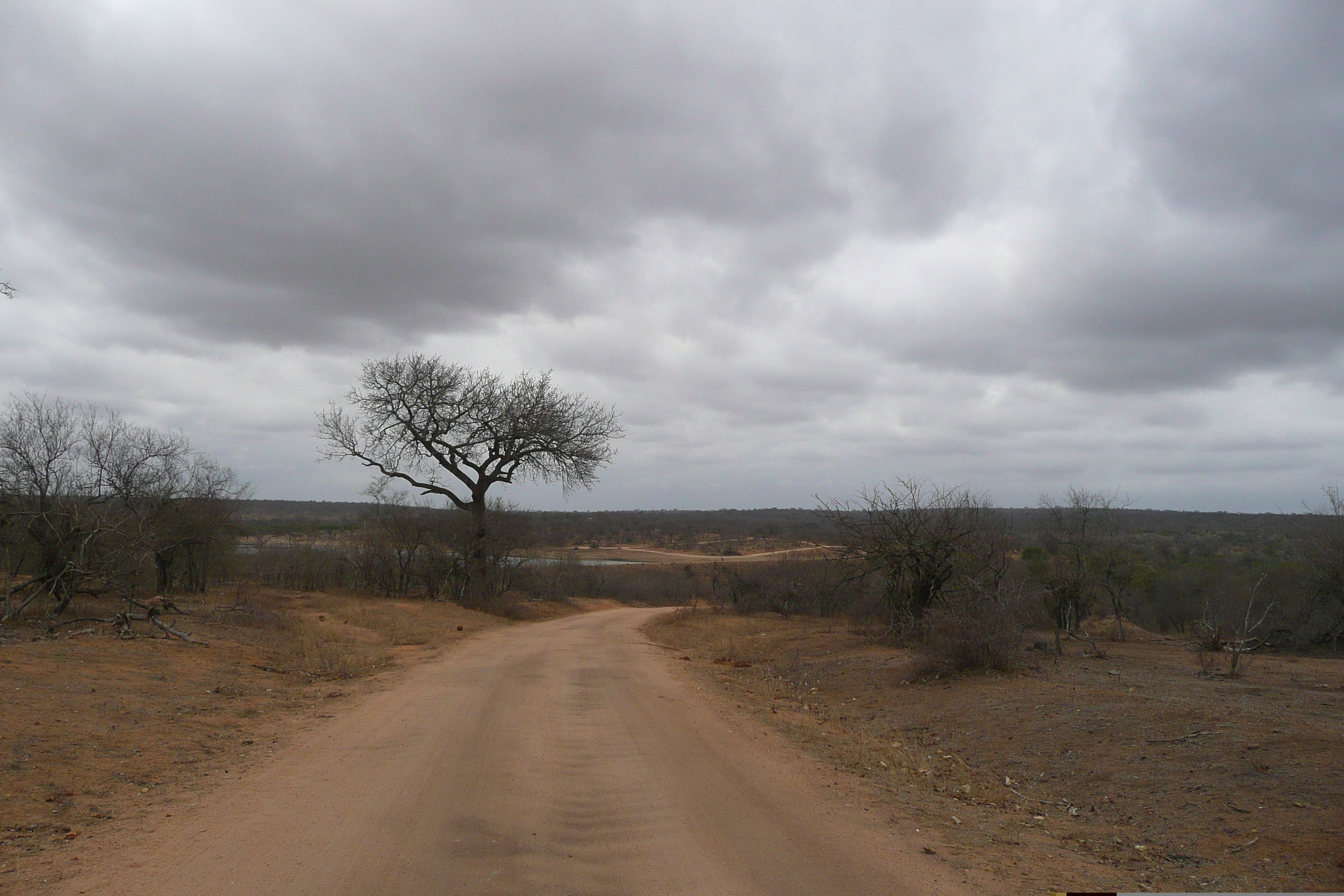 Picture South Africa Kruger National Park Mpondo 2008-09 25 - History Mpondo