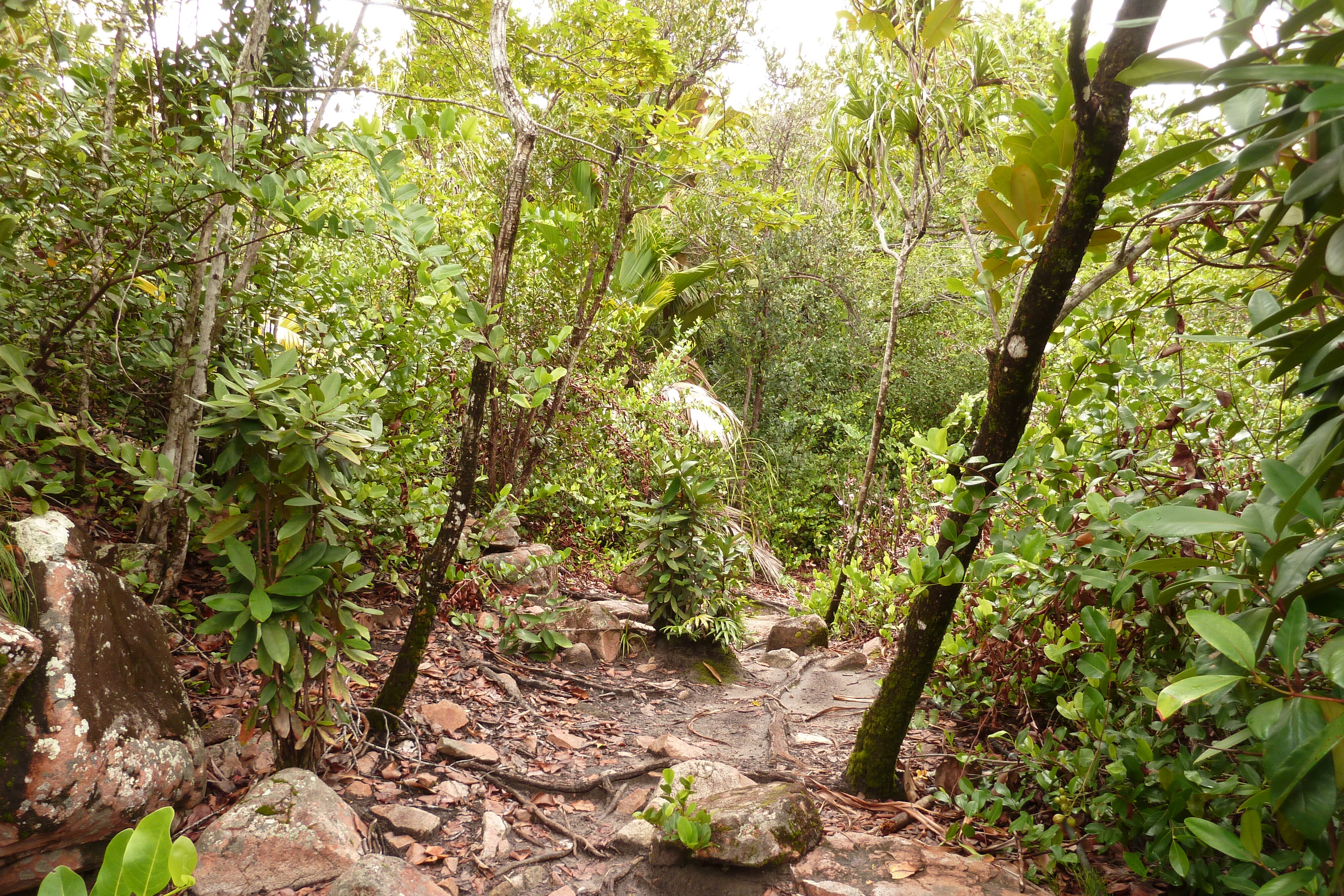 Picture Seychelles Curieuse 2011-10 47 - Center Curieuse