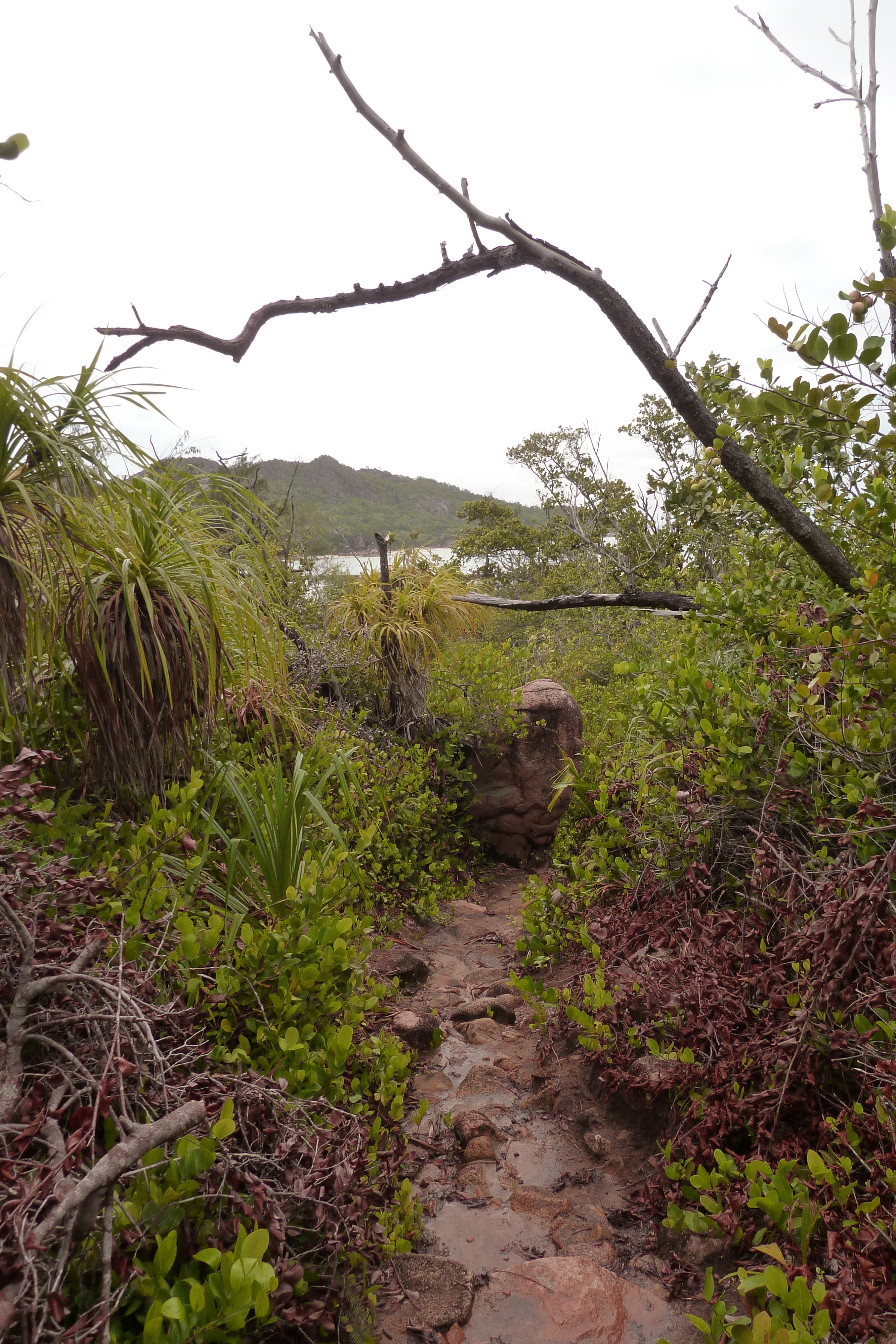 Picture Seychelles Curieuse 2011-10 13 - Recreation Curieuse