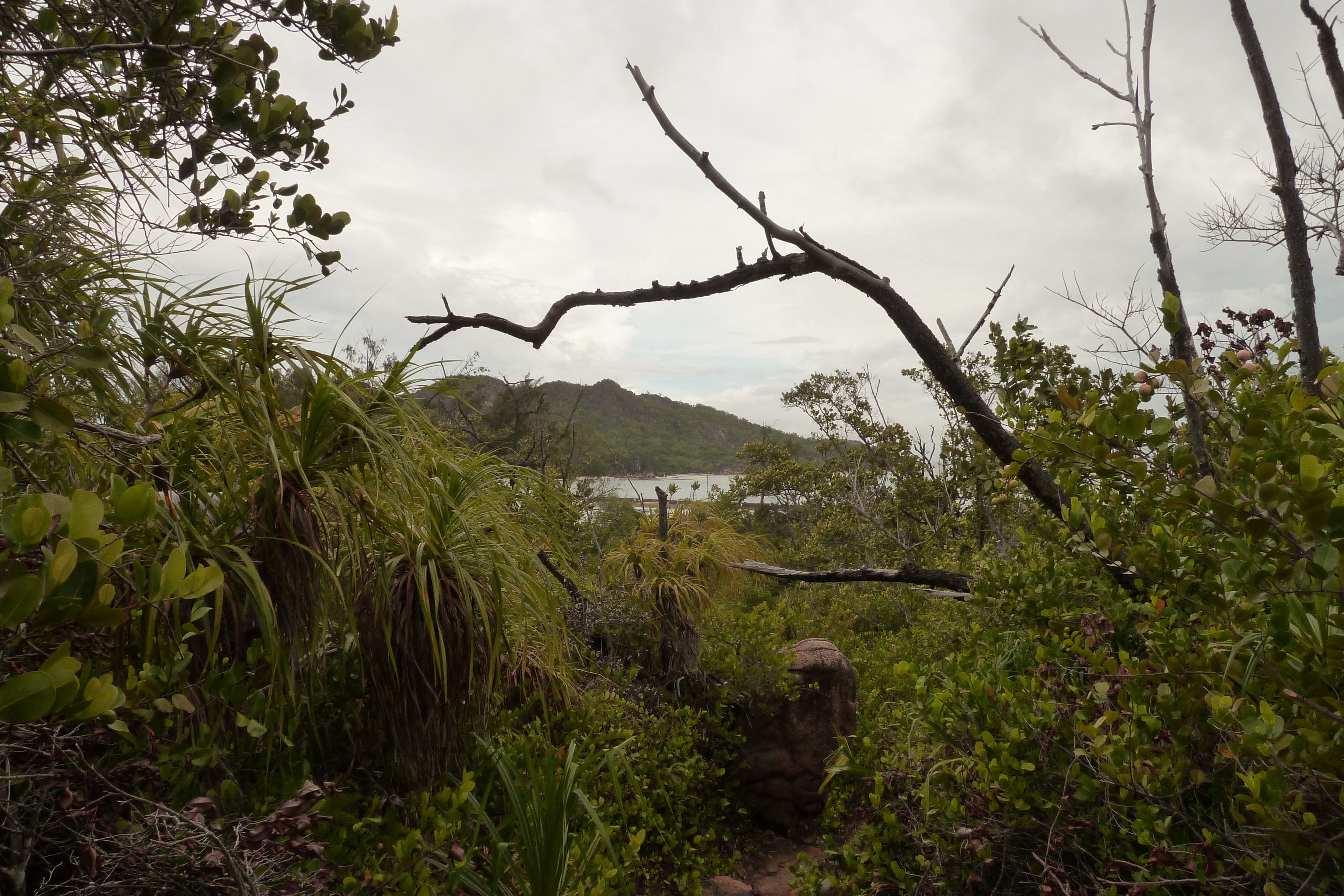 Picture Seychelles Curieuse 2011-10 9 - Tours Curieuse