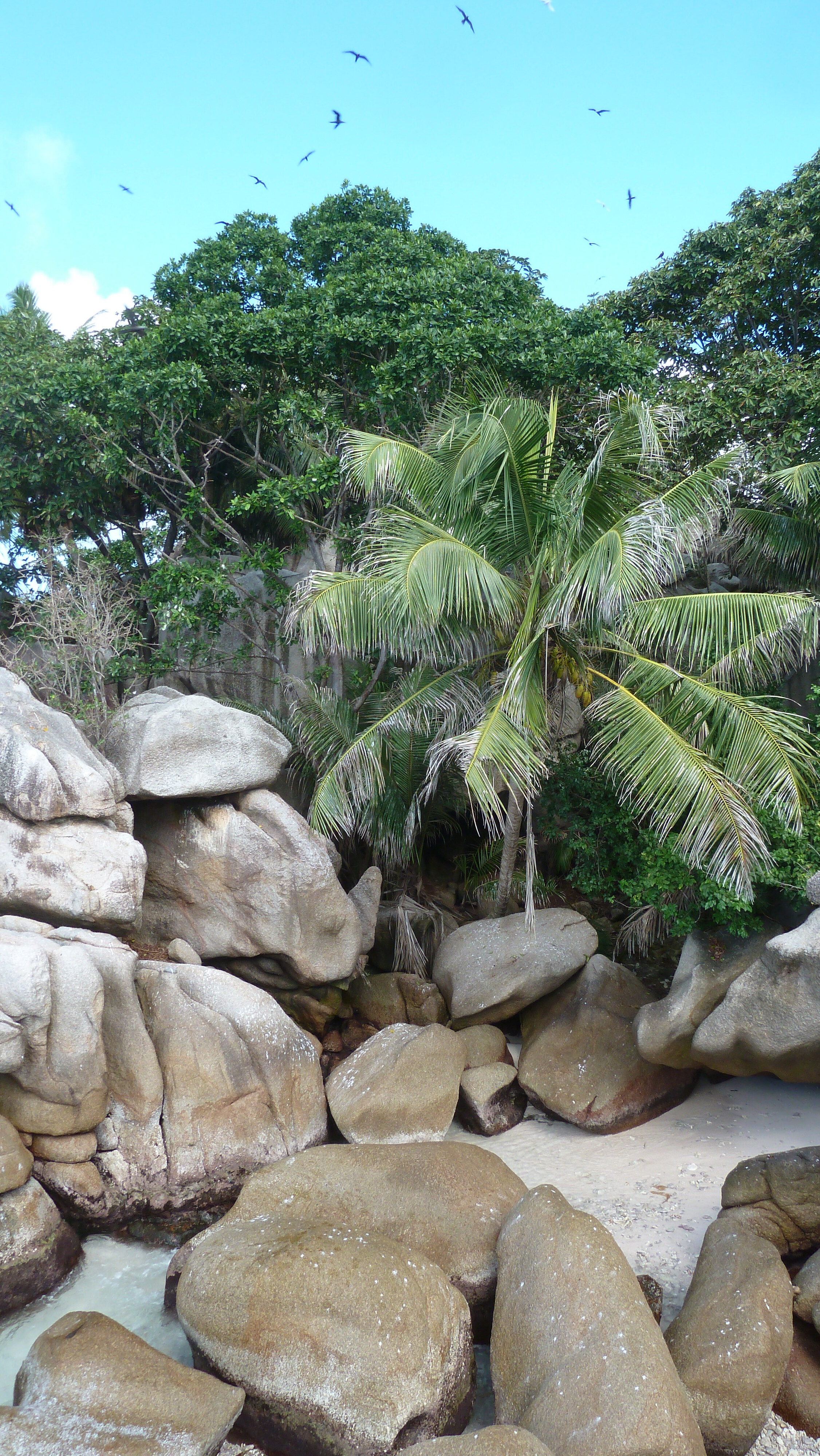 Picture Seychelles Coco Island 2011-10 8 - Around Coco Island