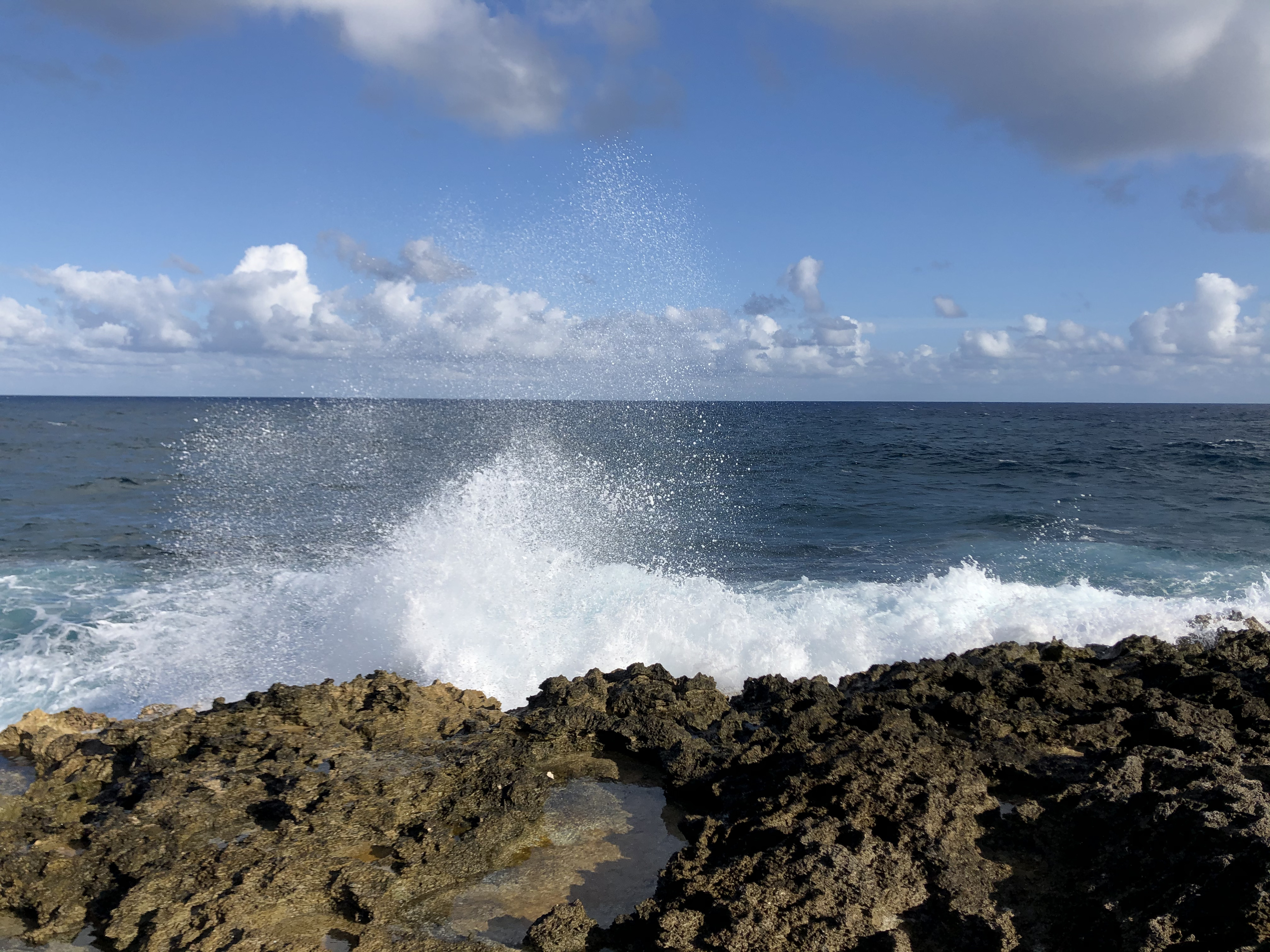 Picture Guadeloupe Castle Point 2021-02 117 - Tours Castle Point