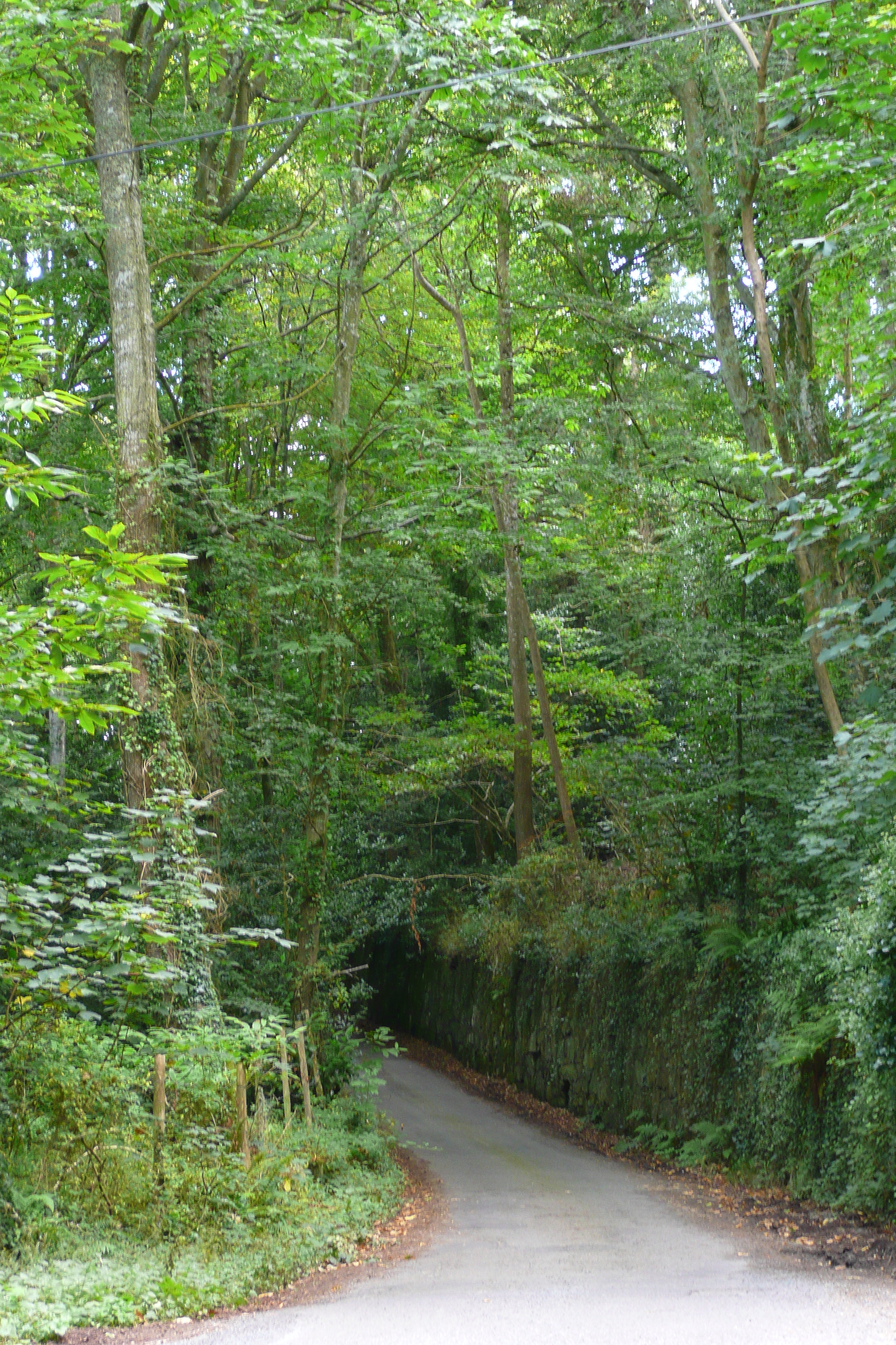 Picture France Brittany roads 2007-08 6 - Tours Brittany roads