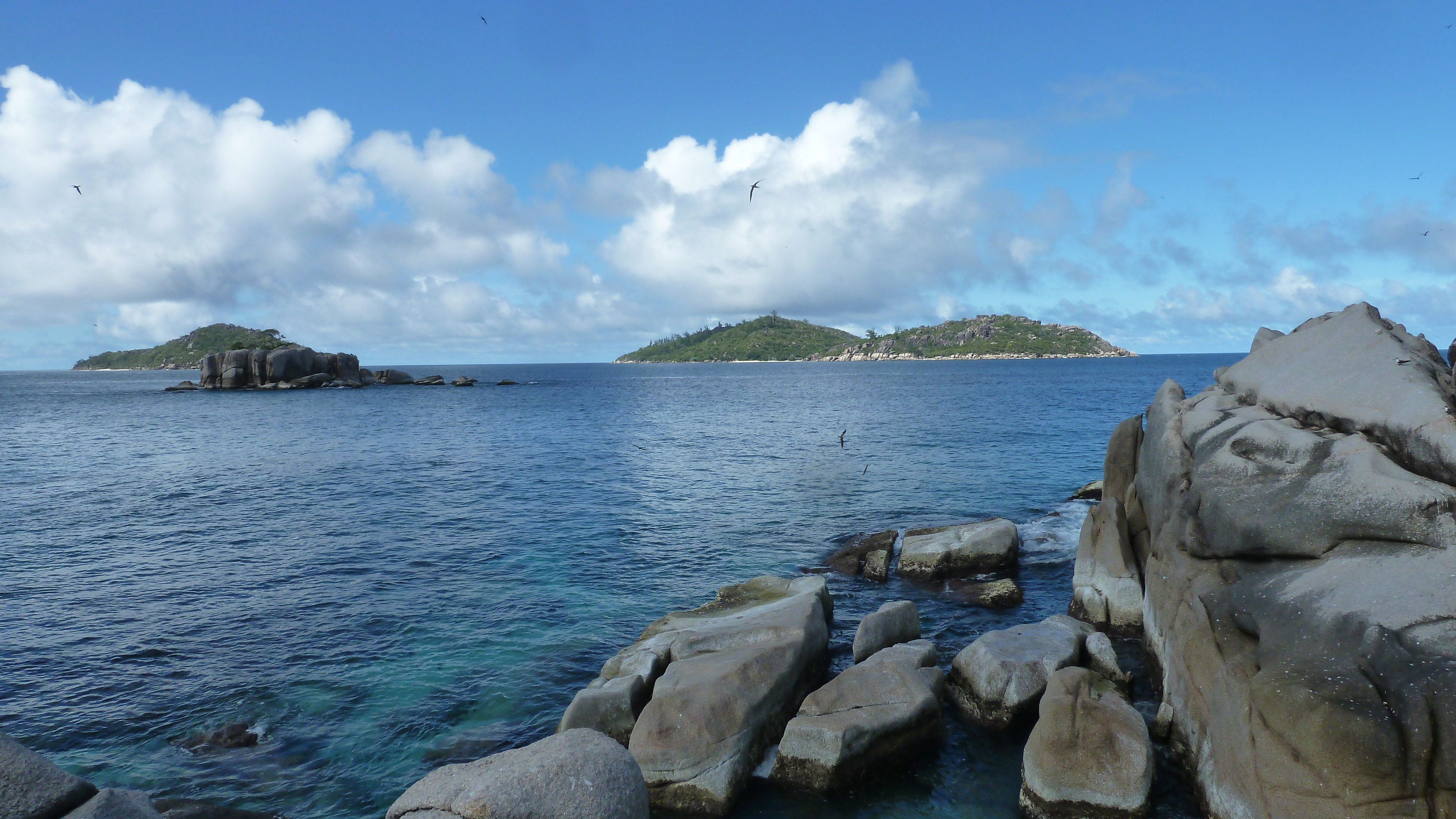 Picture Seychelles Coco Island 2011-10 3 - Around Coco Island