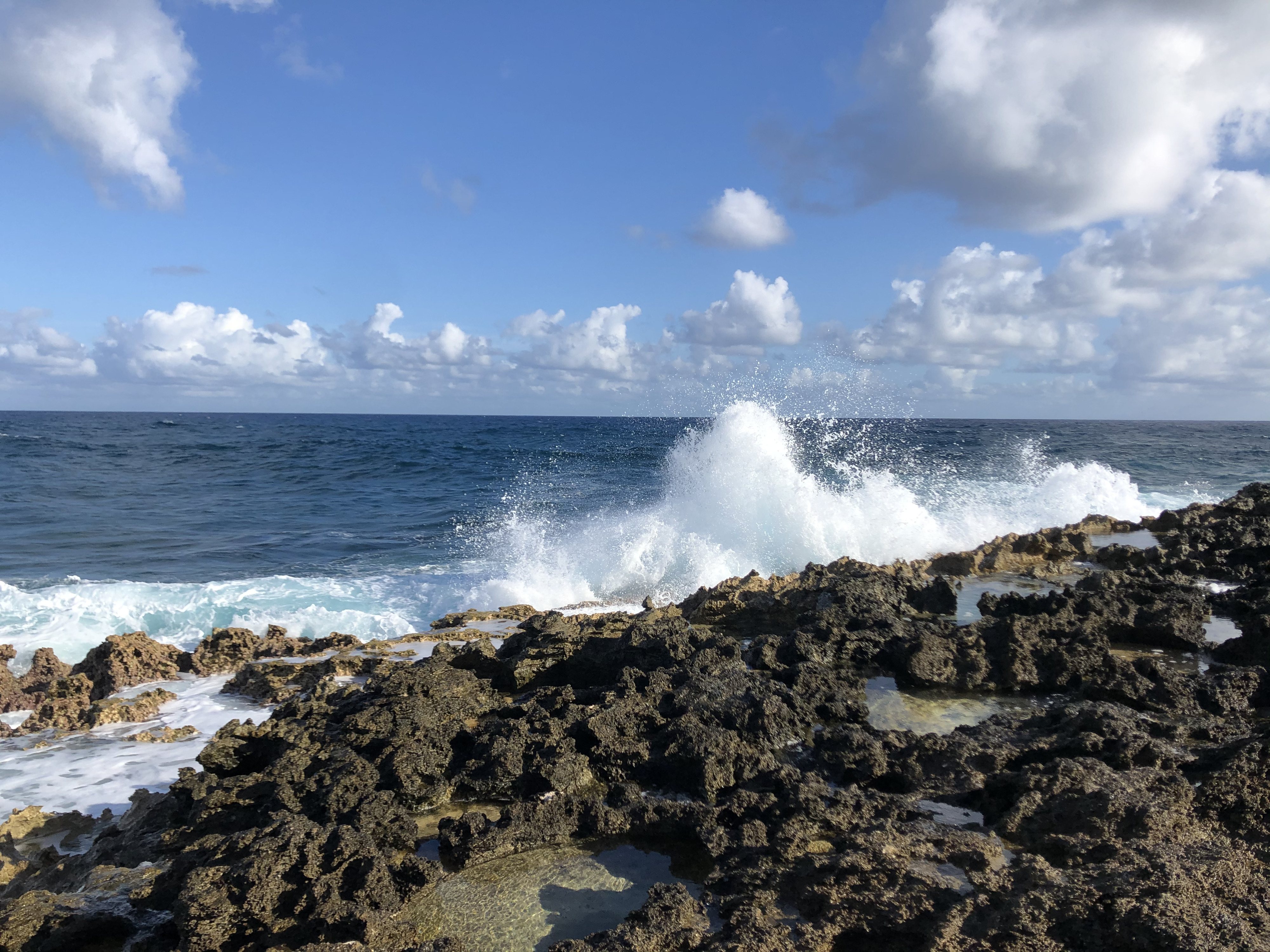 Picture Guadeloupe Castle Point 2021-02 190 - Around Castle Point