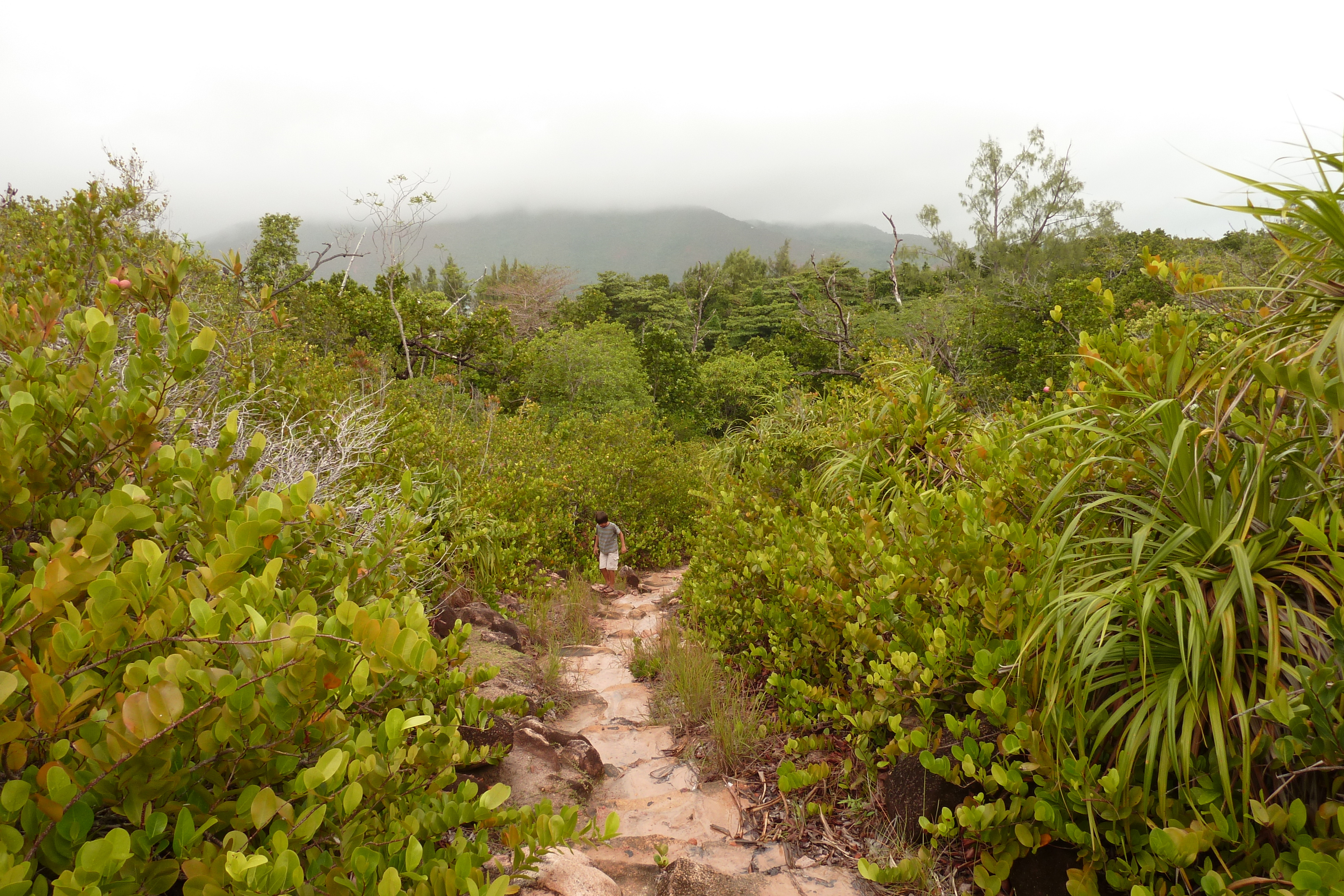 Picture Seychelles Curieuse 2011-10 4 - Journey Curieuse