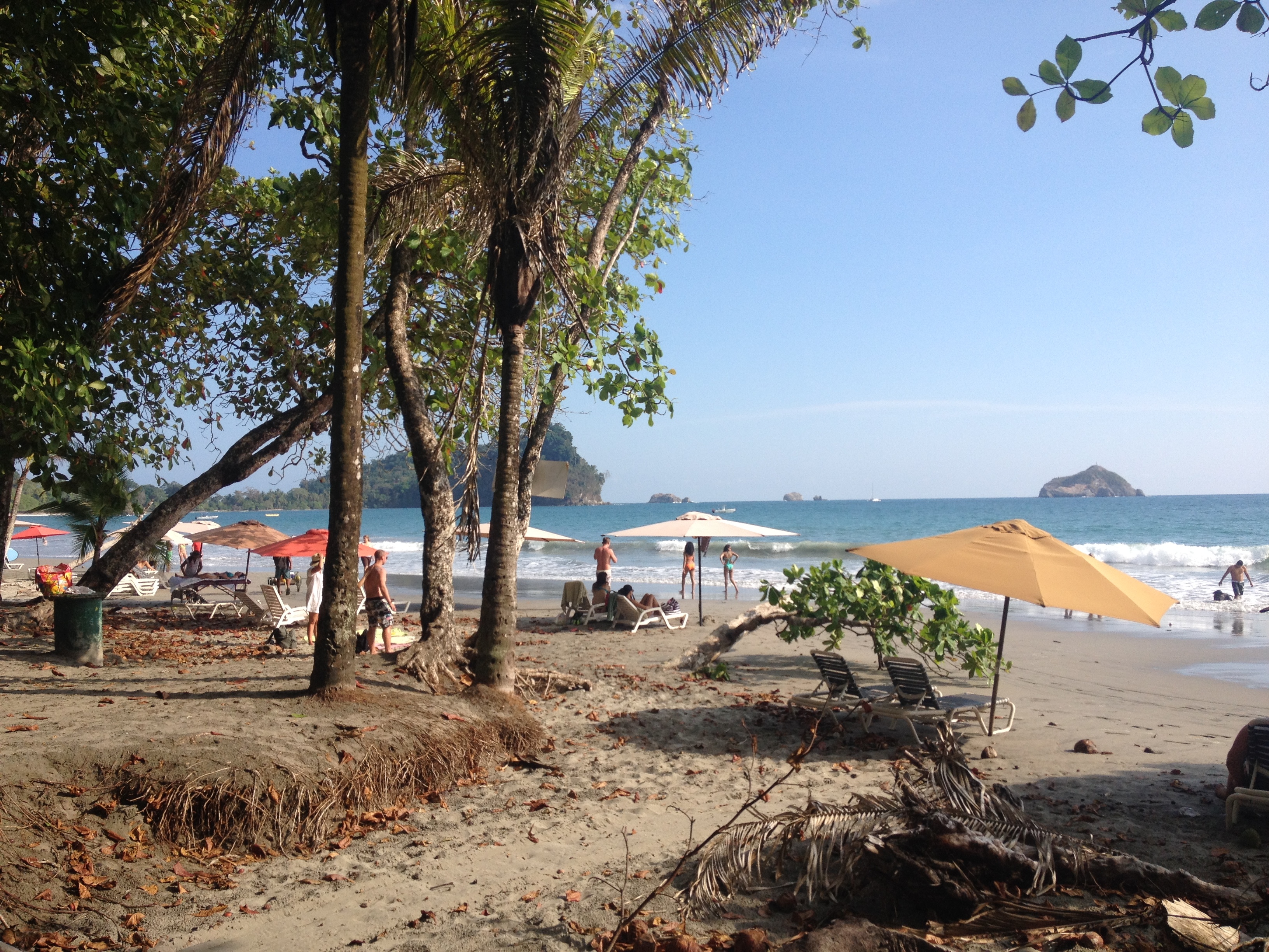 Picture Costa Rica Manuel Antonio 2015-03 269 - Center Manuel Antonio