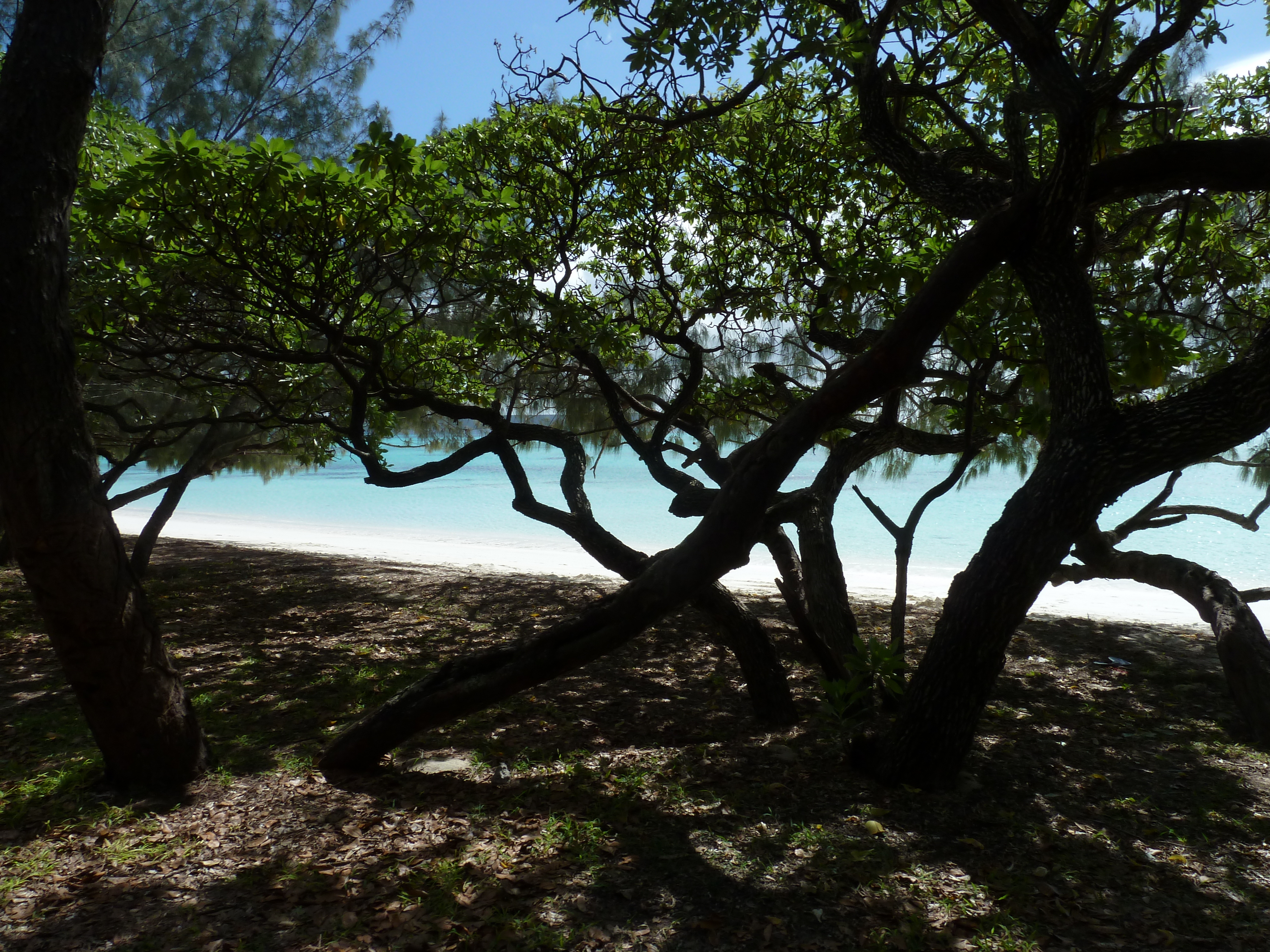 Picture New Caledonia Lifou Luengoni Beach 2010-05 33 - History Luengoni Beach