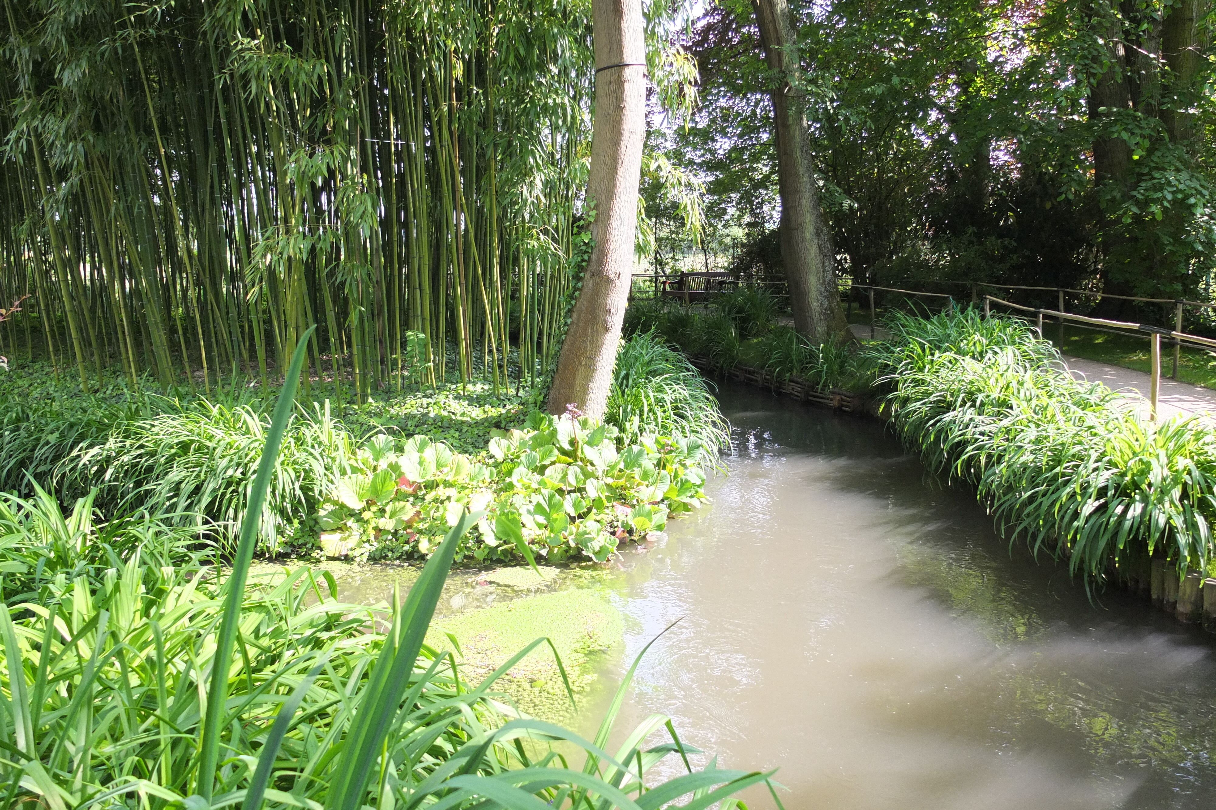 Picture France Giverny 2013-06 32 - Center Giverny