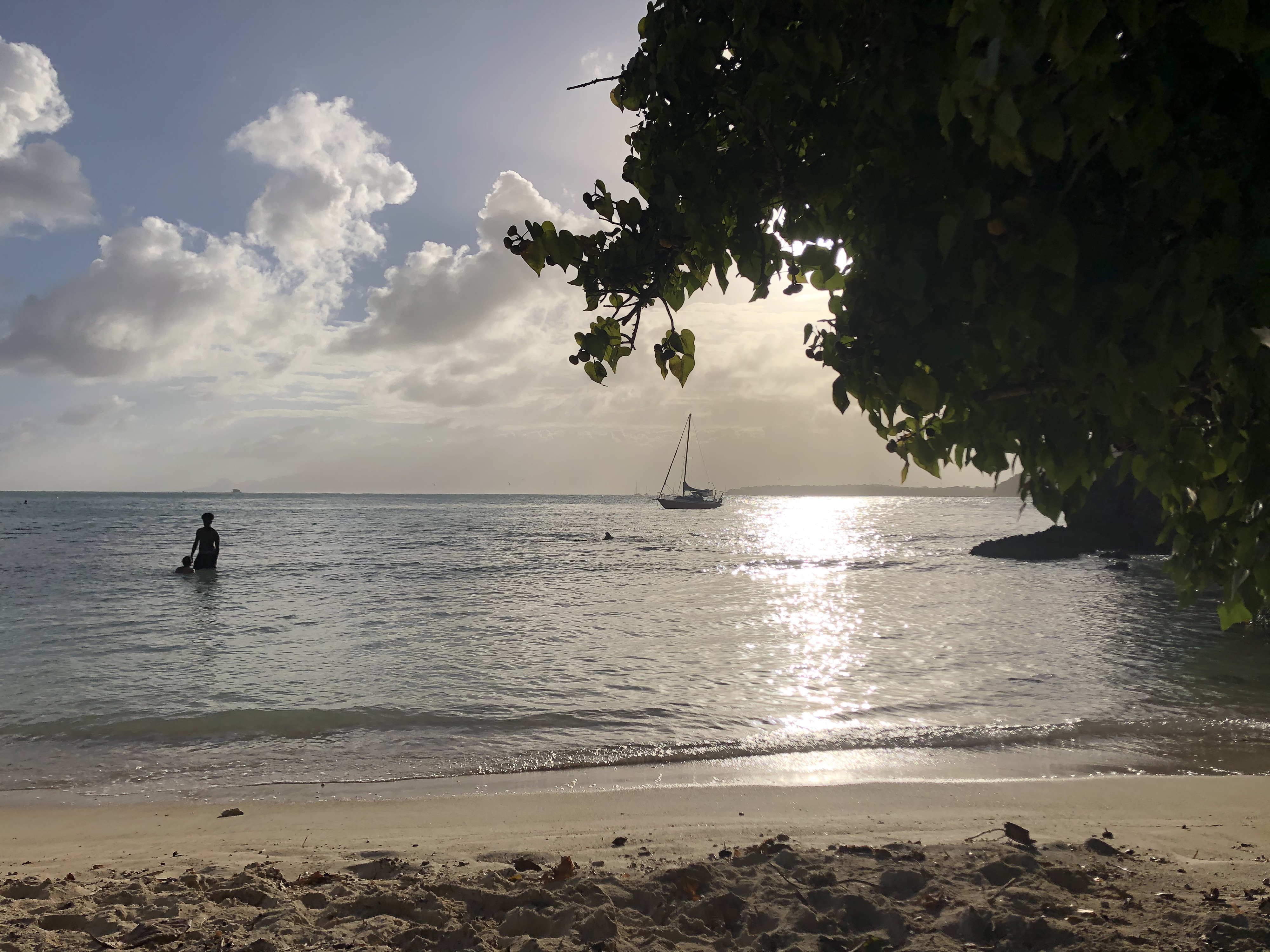 Picture Guadeloupe Petit Havre Beach 2021-02 9 - Tour Petit Havre Beach