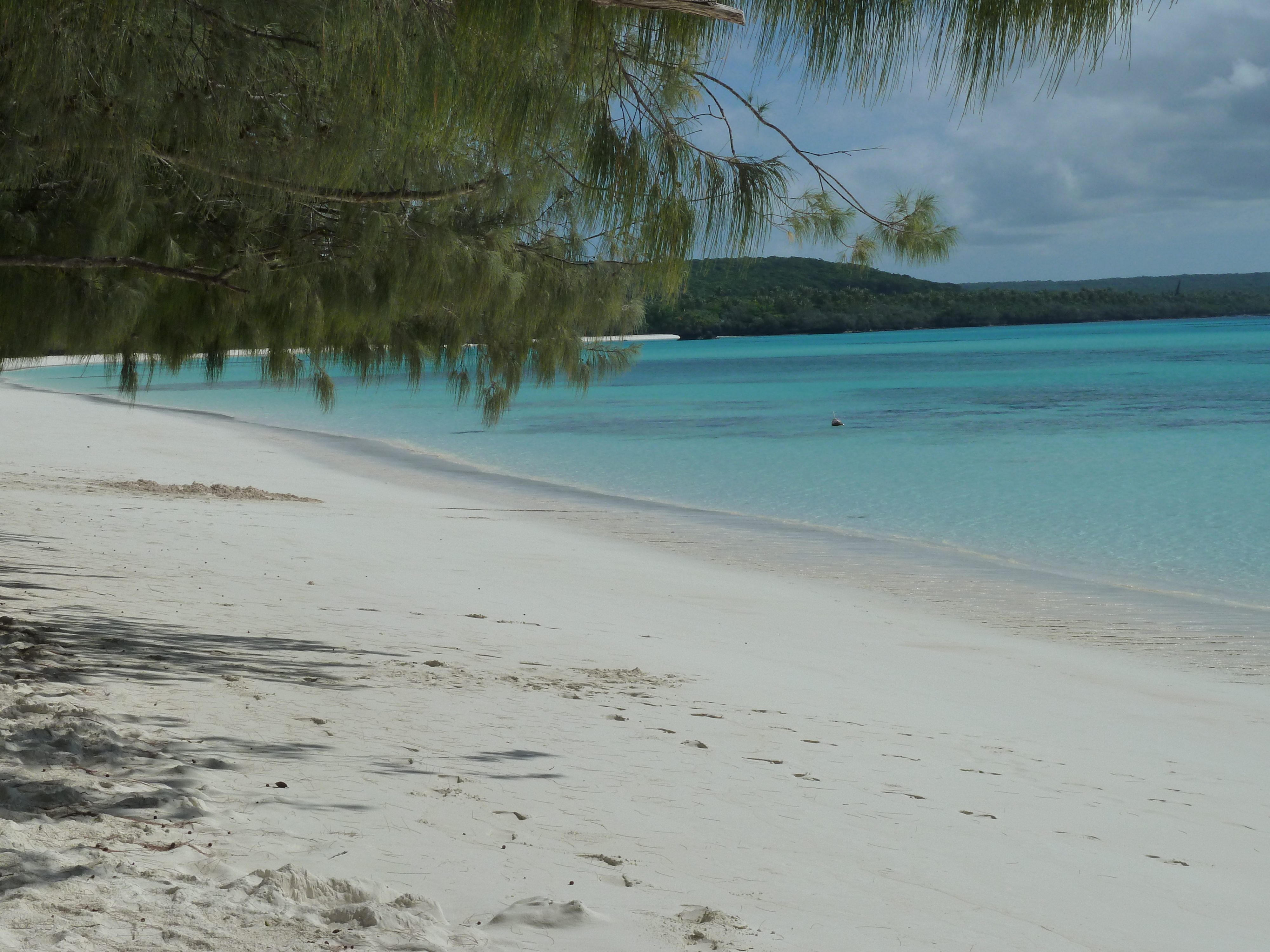 Picture New Caledonia Lifou Luengoni Beach 2010-05 38 - Journey Luengoni Beach