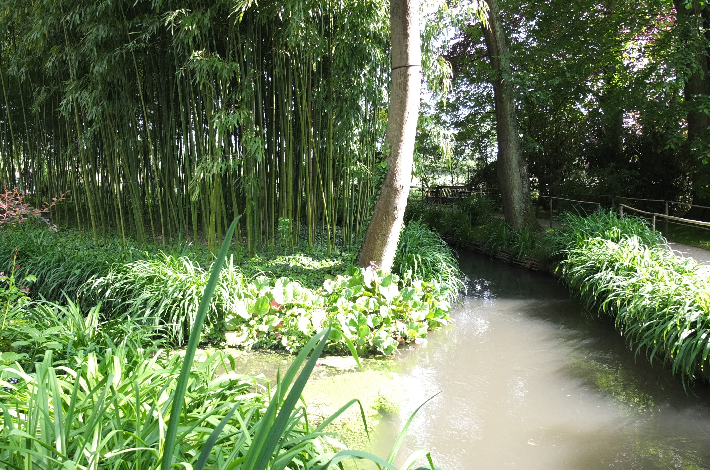 Picture France Giverny 2013-06 47 - Journey Giverny