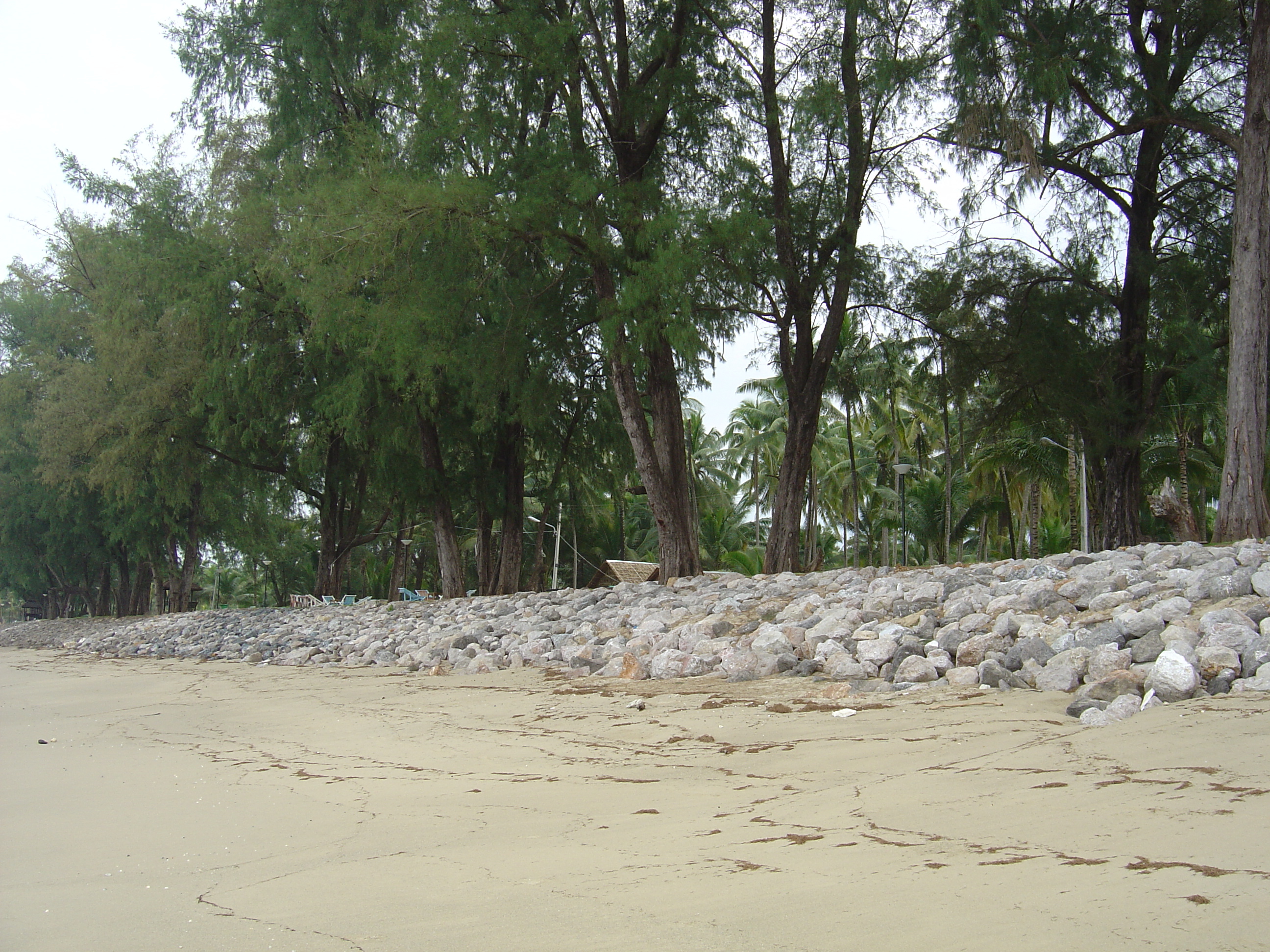 Picture Thailand Khao Lak Bang Sak Beach 2005-12 13 - Recreation Bang Sak Beach