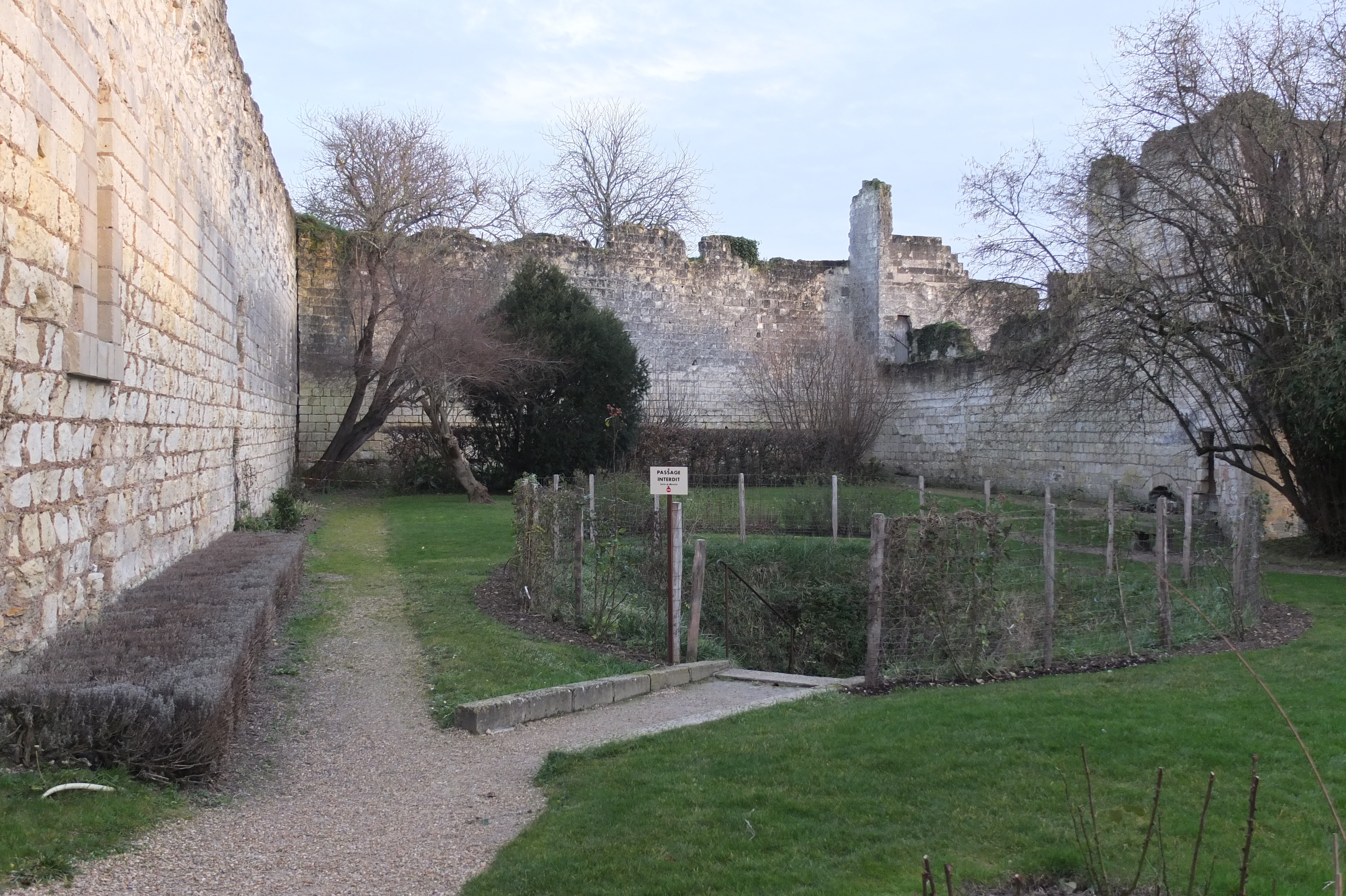 Picture France Loches Castle 2013-01 49 - Center Loches Castle