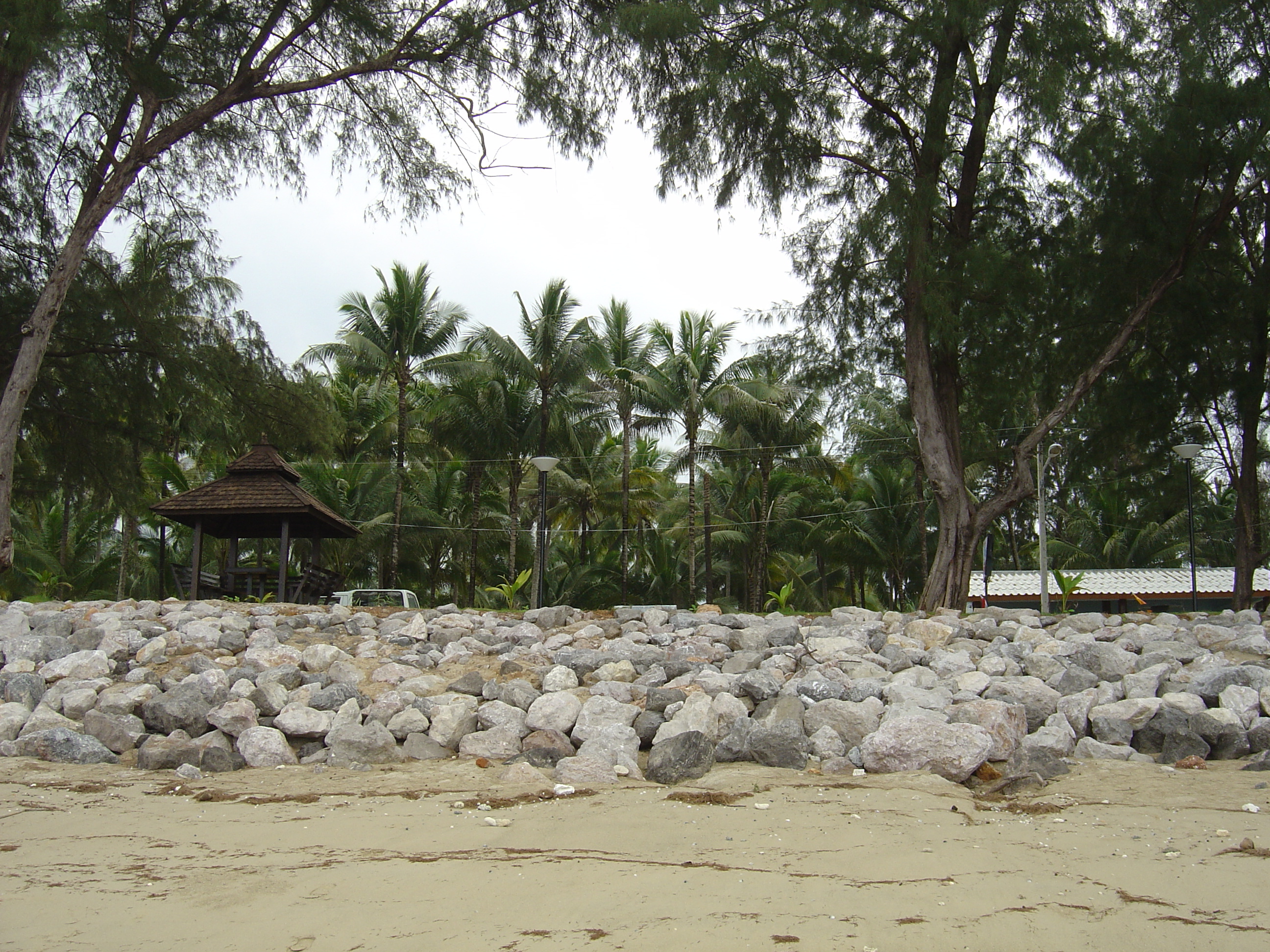 Picture Thailand Khao Lak Bang Sak Beach 2005-12 14 - Around Bang Sak Beach