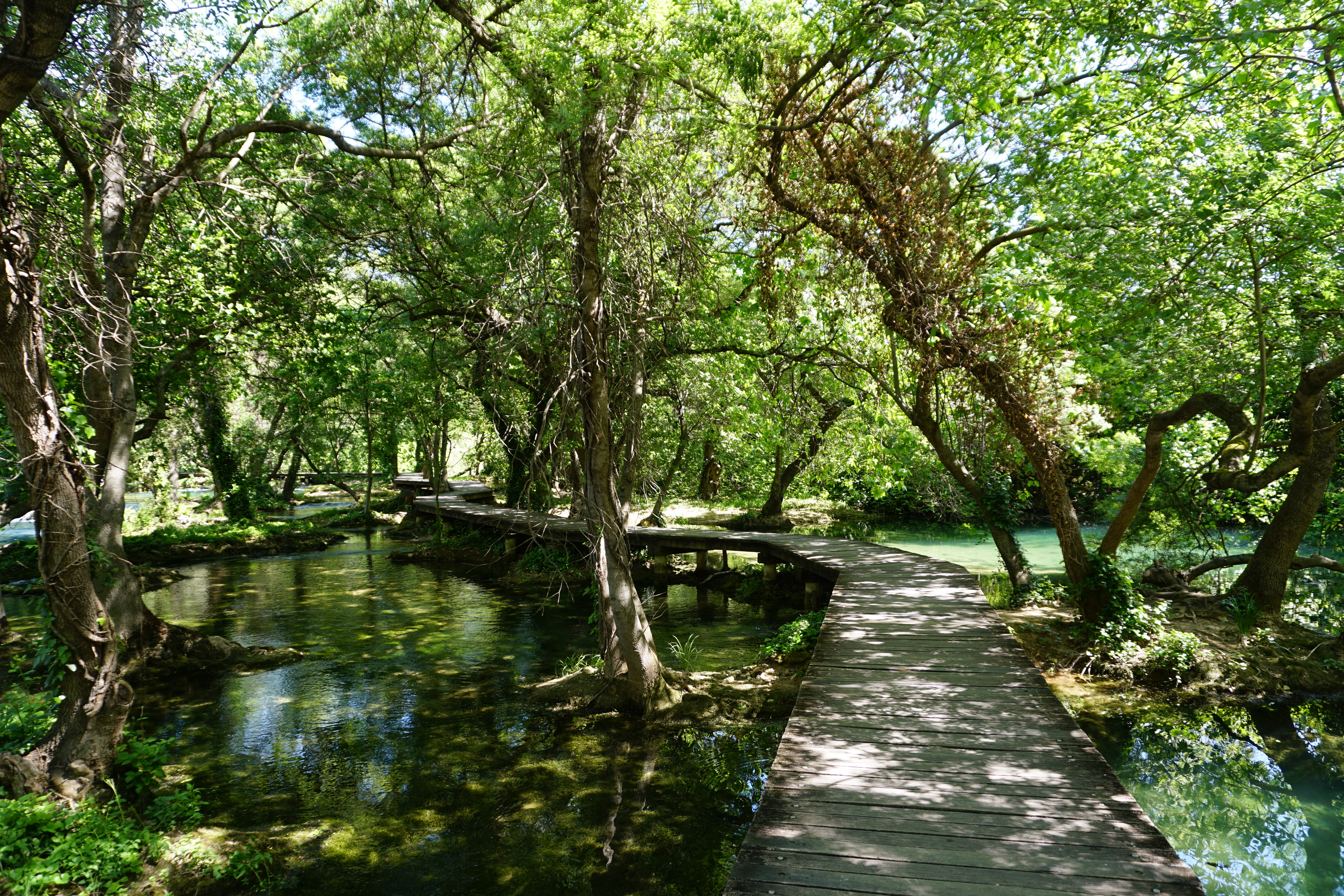 Picture Croatia Krka National Park 2016-04 116 - Journey Krka National Park