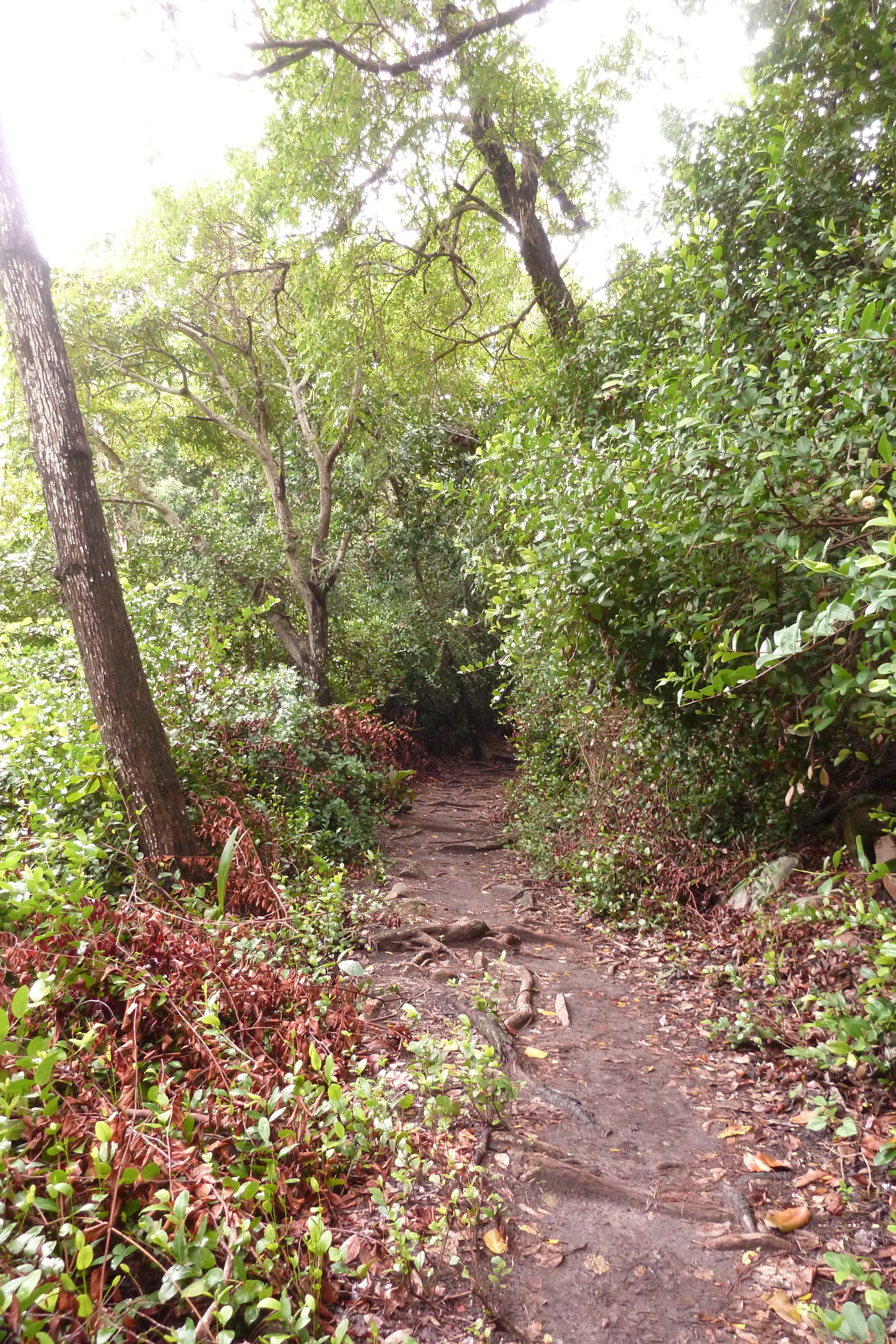 Picture Seychelles Curieuse 2011-10 2 - Recreation Curieuse