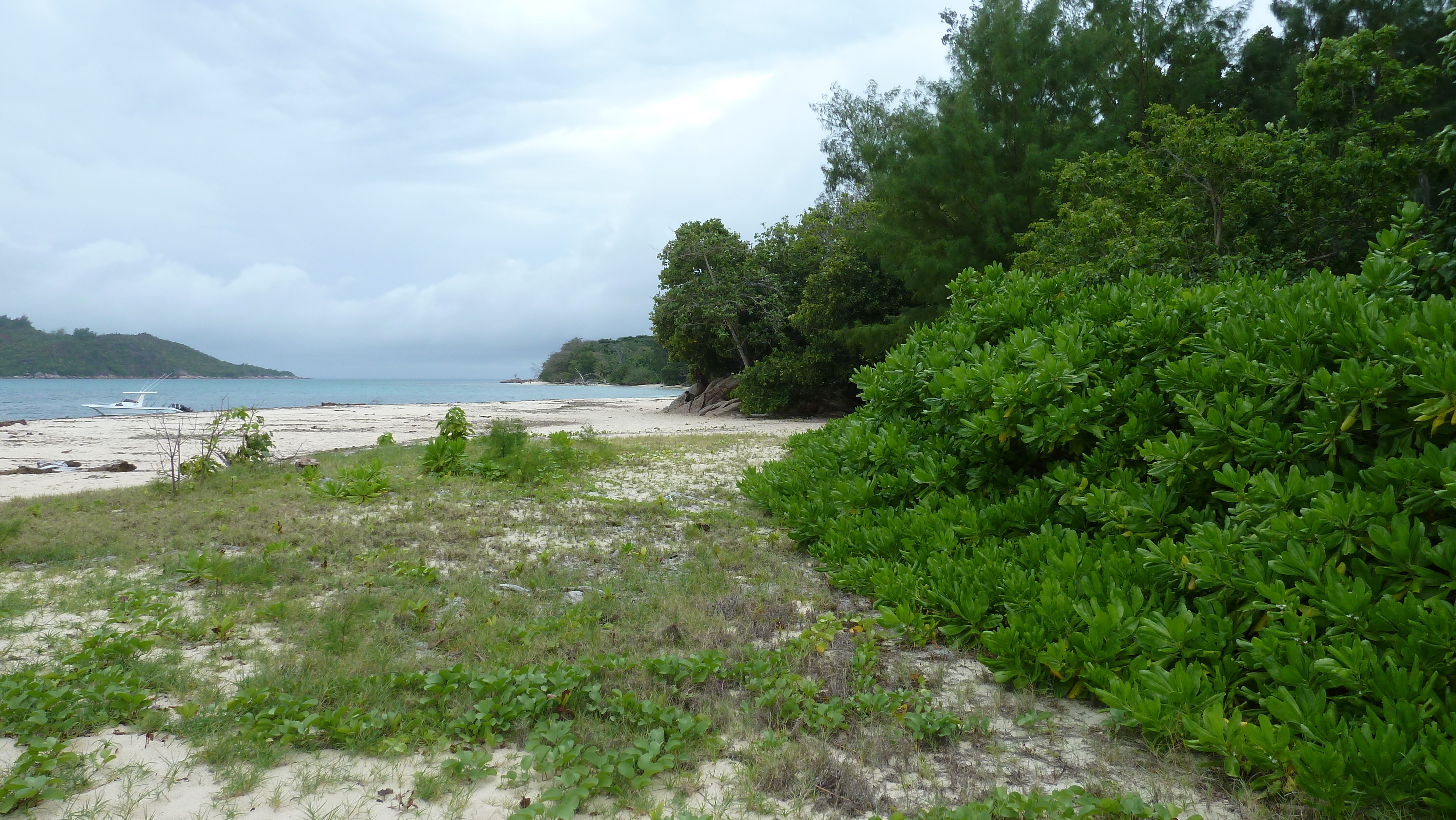 Picture Seychelles Curieuse 2011-10 7 - Tour Curieuse