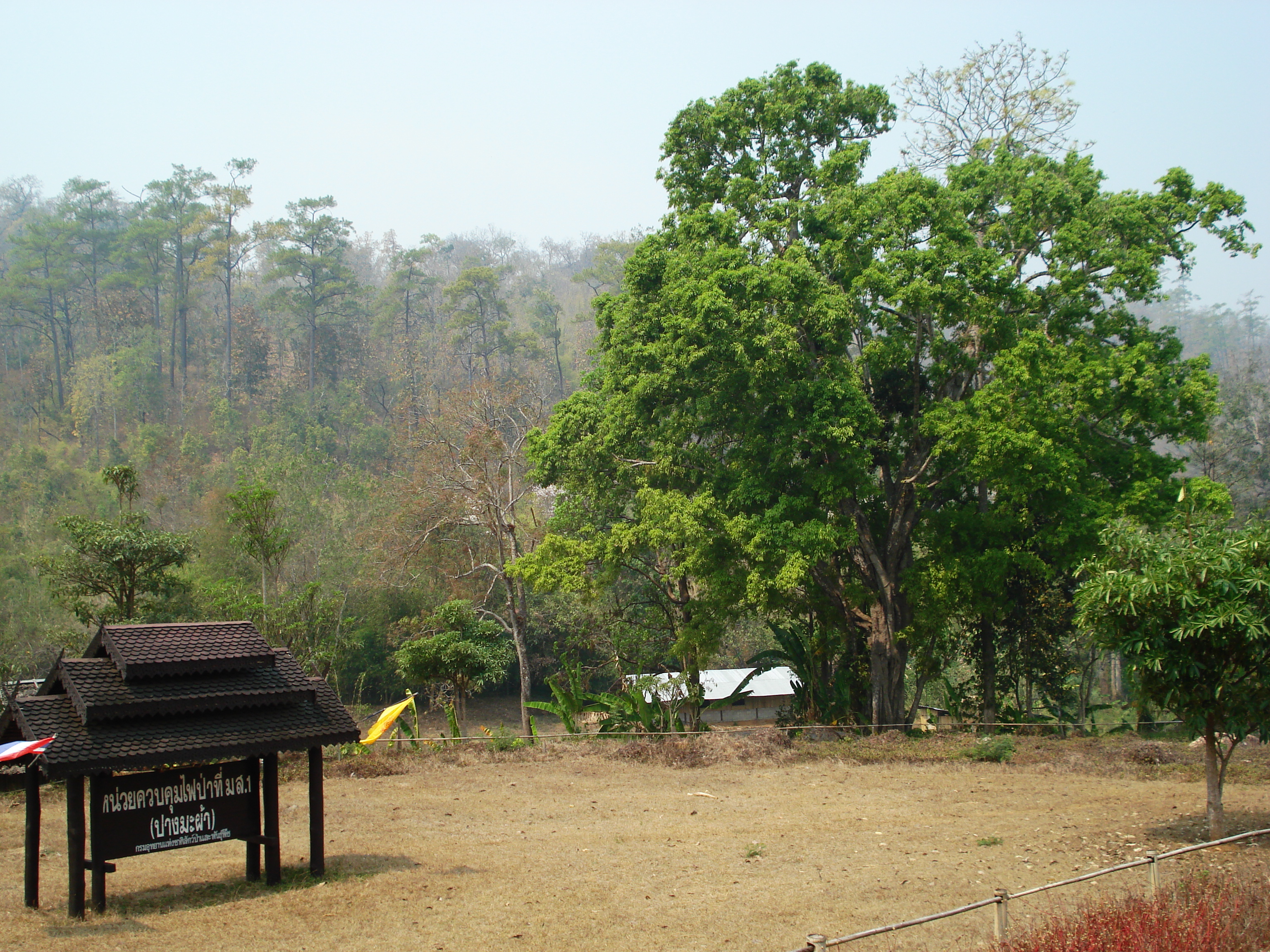 Picture Thailand Pang Mapha to Pai road 2007-02 3 - Discovery Pang Mapha to Pai road