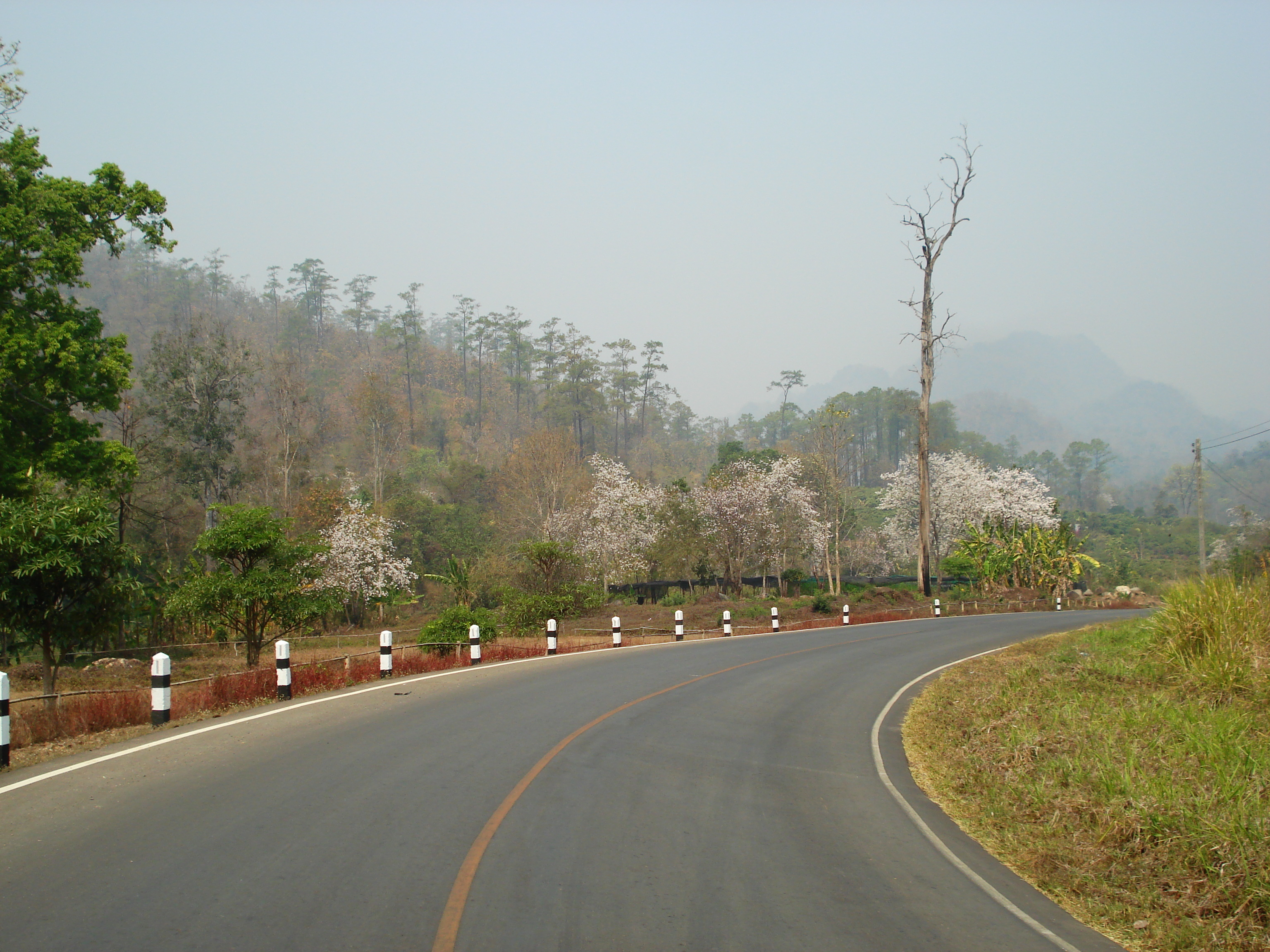 Picture Thailand Pang Mapha to Pai road 2007-02 22 - History Pang Mapha to Pai road