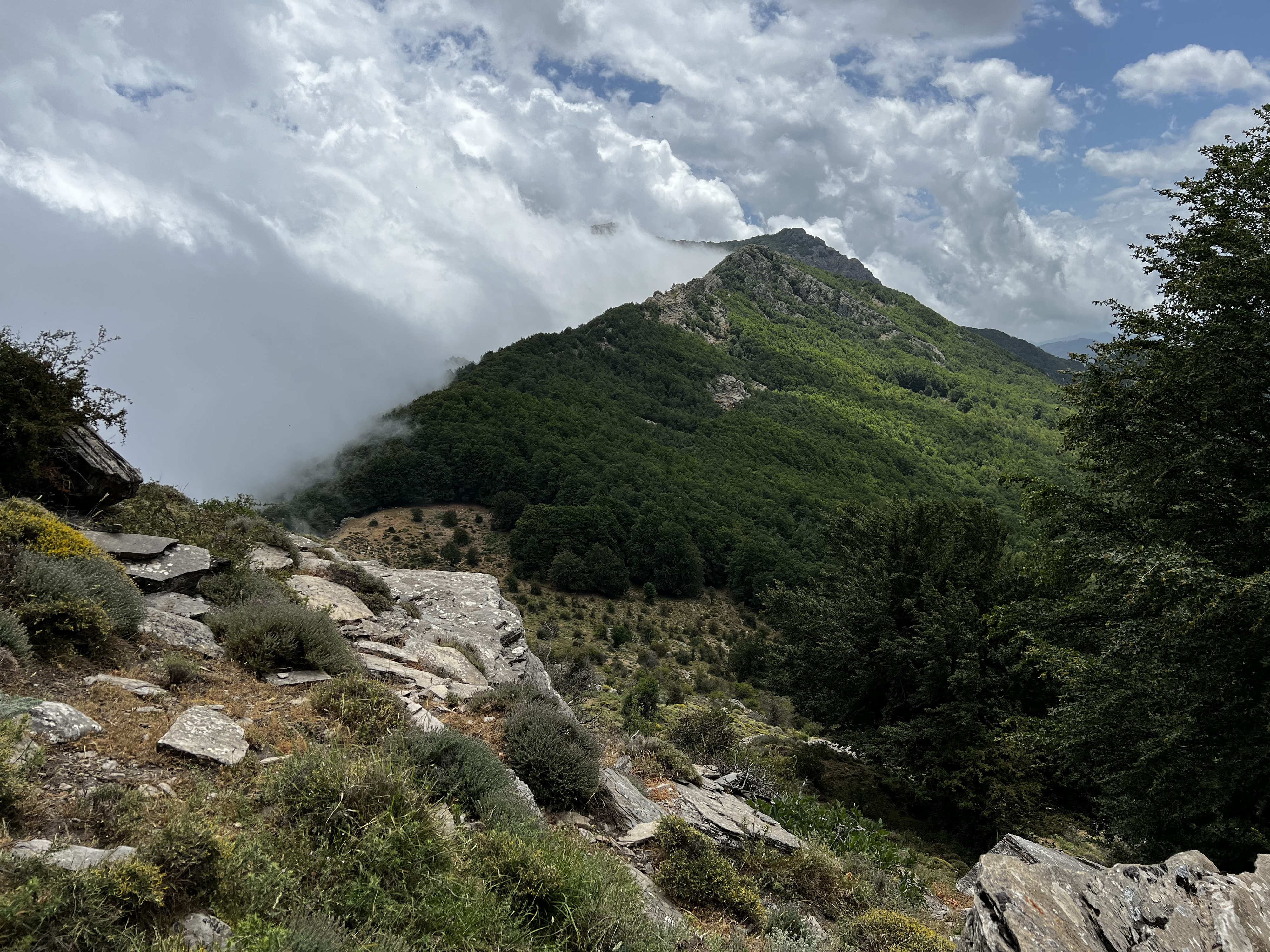 Picture France Corsica Refuge de Callerucciu 2022-06 27 - Tour Refuge de Callerucciu