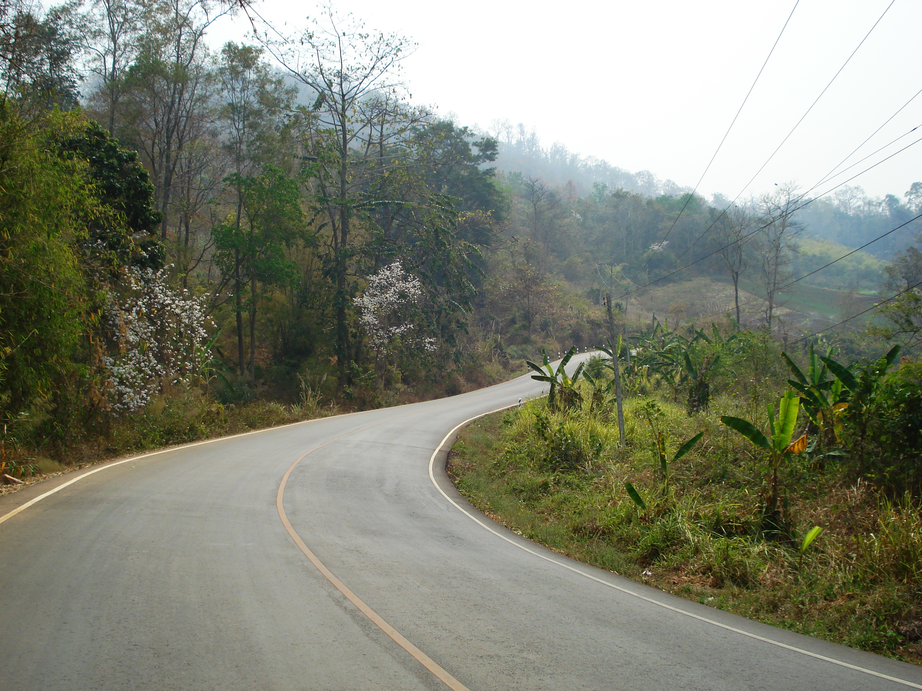 Picture Thailand Pang Mapha to Pai road 2007-02 26 - History Pang Mapha to Pai road