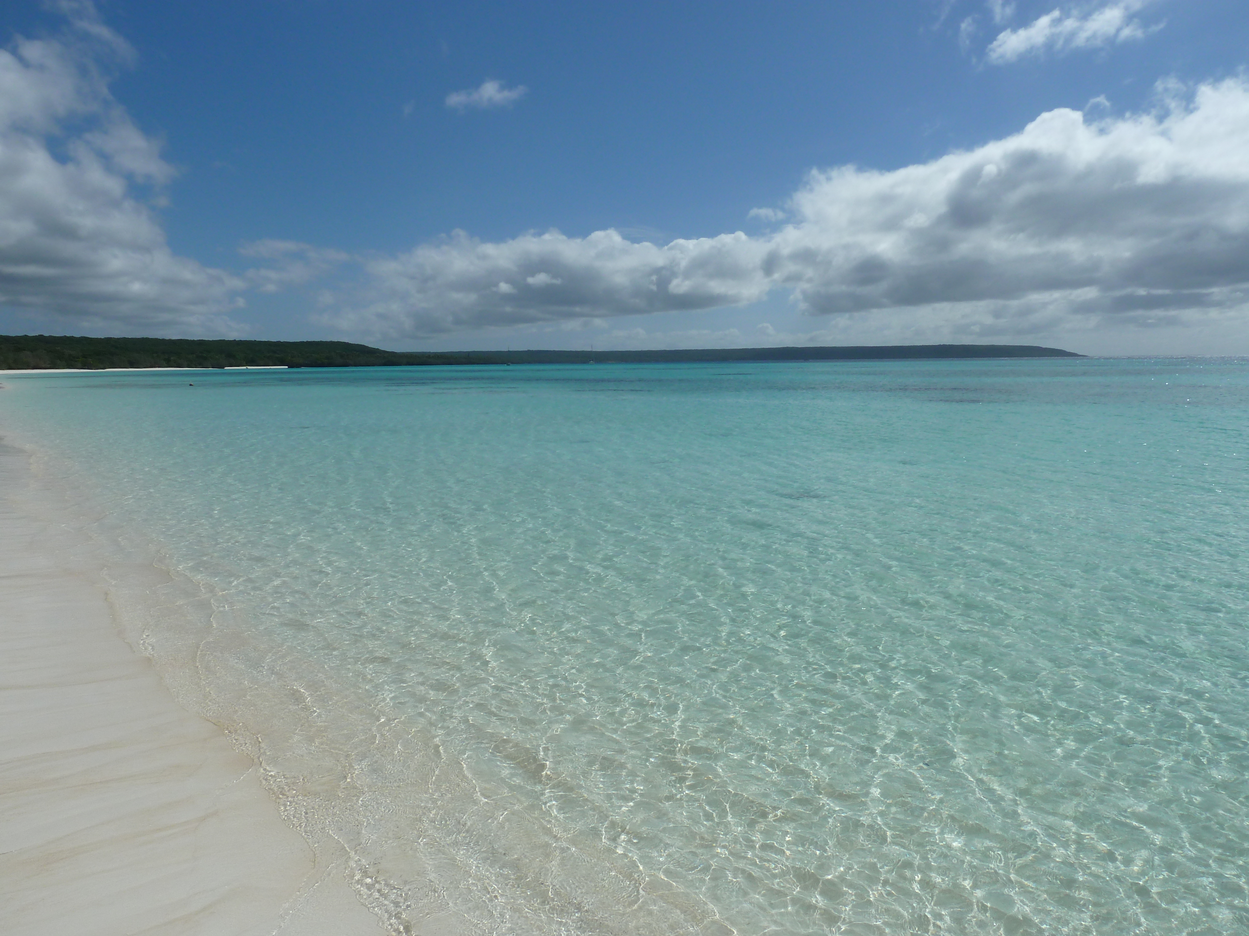 Picture New Caledonia Lifou Luengoni Beach 2010-05 39 - Tour Luengoni Beach