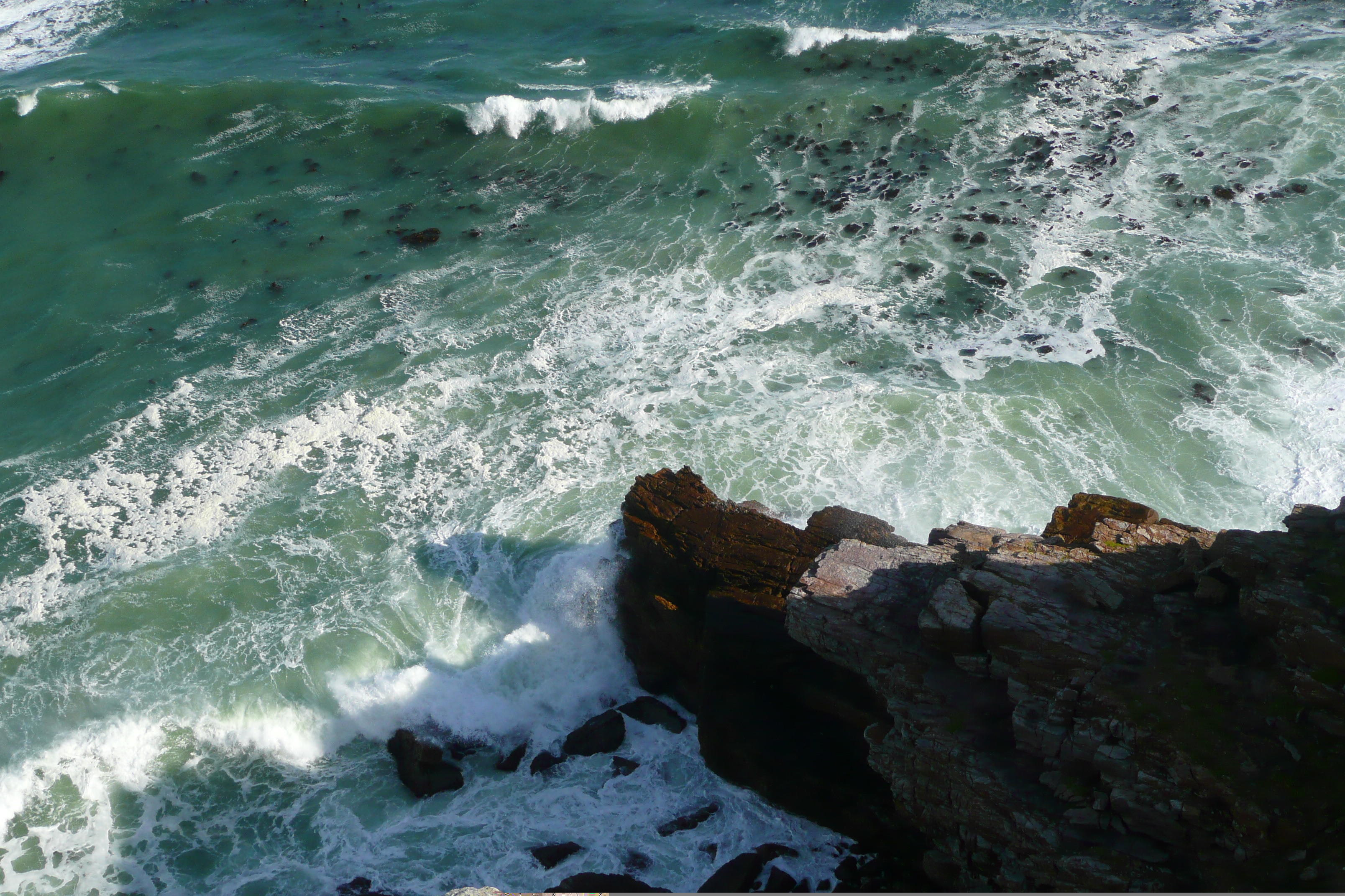 Picture South Africa Cape of Good Hope Cape Point 2008-09 4 - Recreation Cape Point