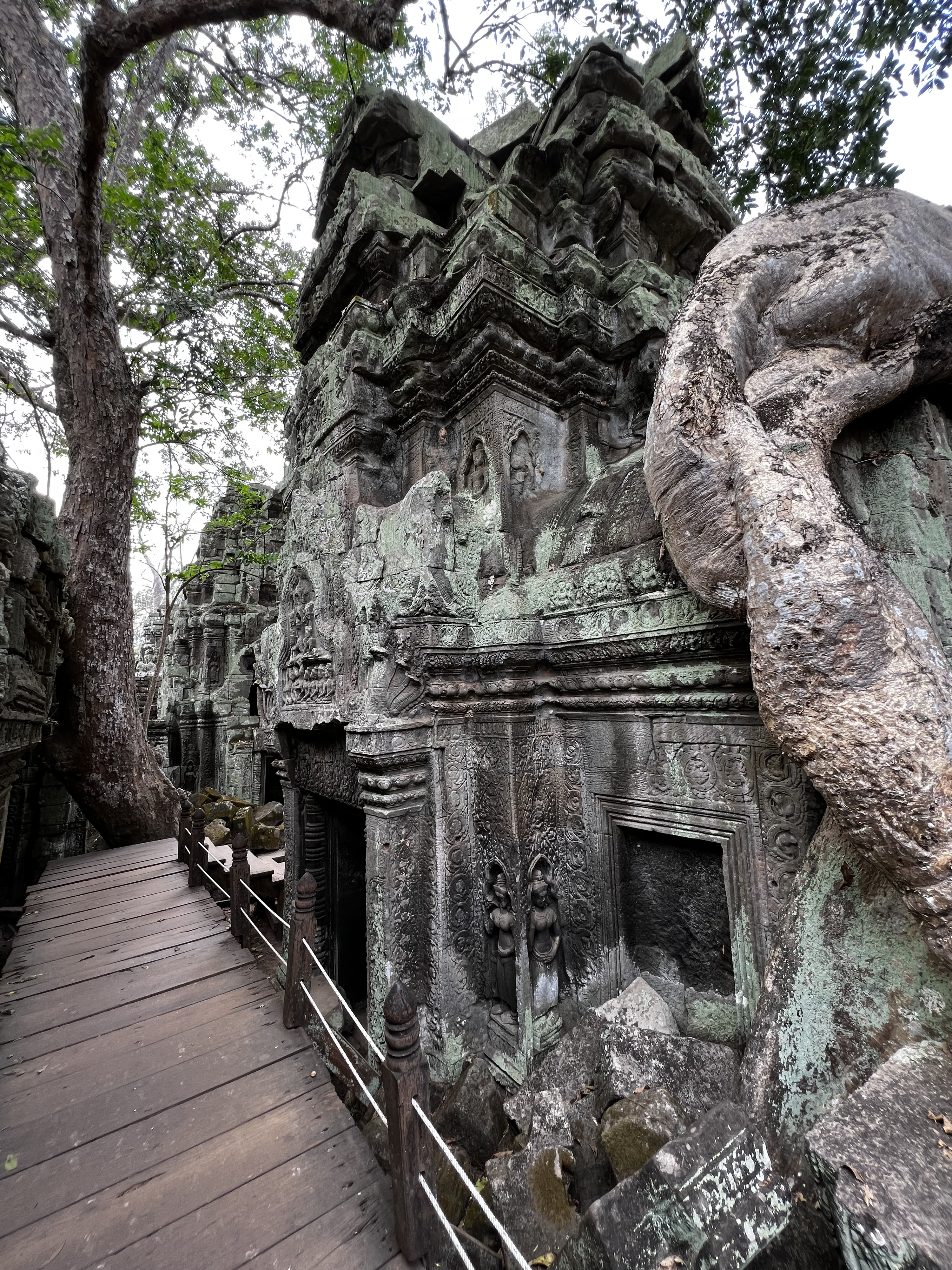 Picture Cambodia Siem Reap Ta Prohm 2023-01 86 - Tour Ta Prohm