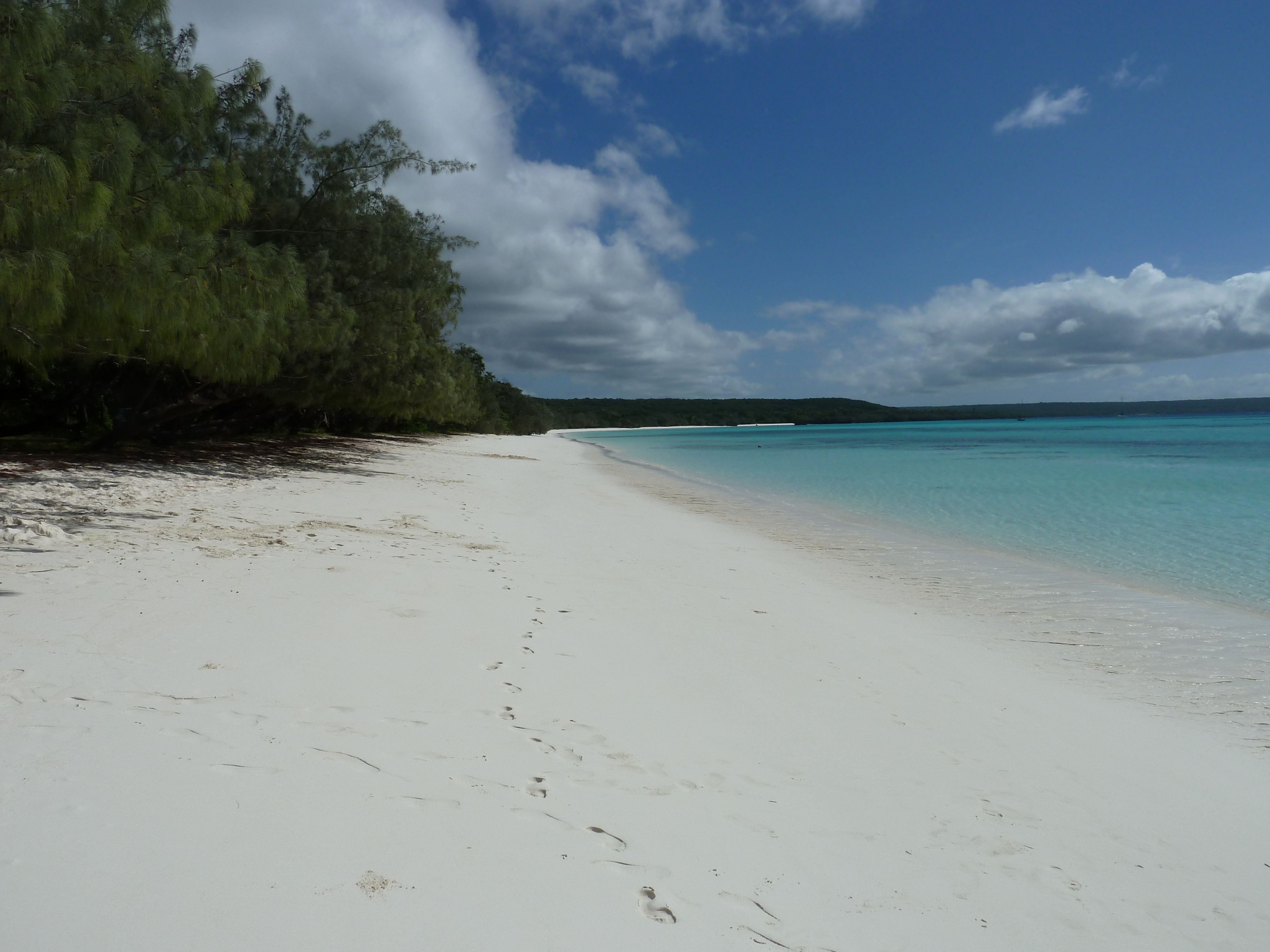 Picture New Caledonia Lifou Luengoni Beach 2010-05 15 - Discovery Luengoni Beach