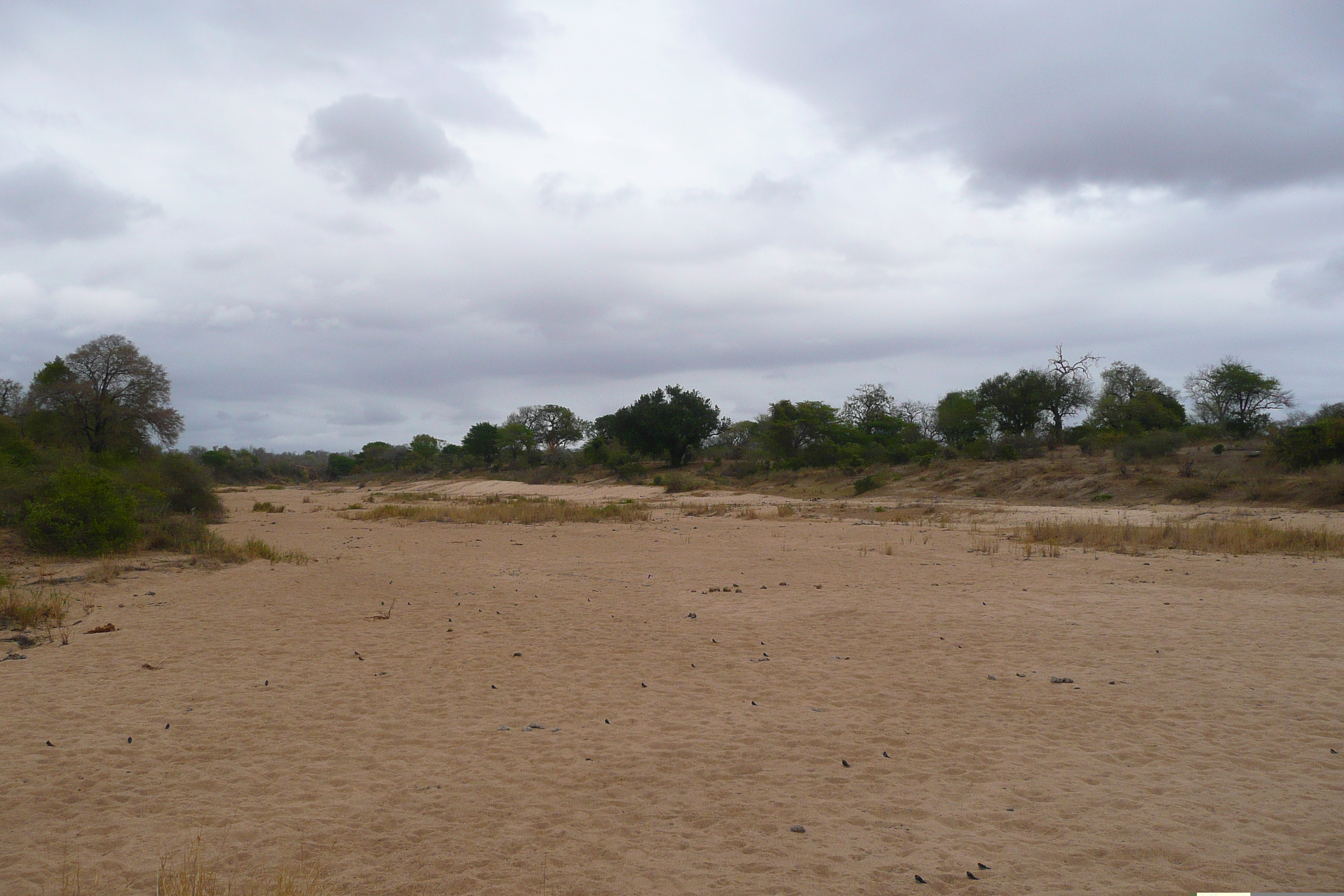 Picture South Africa Kruger National Park Crocodile River 2008-09 35 - Center Crocodile River