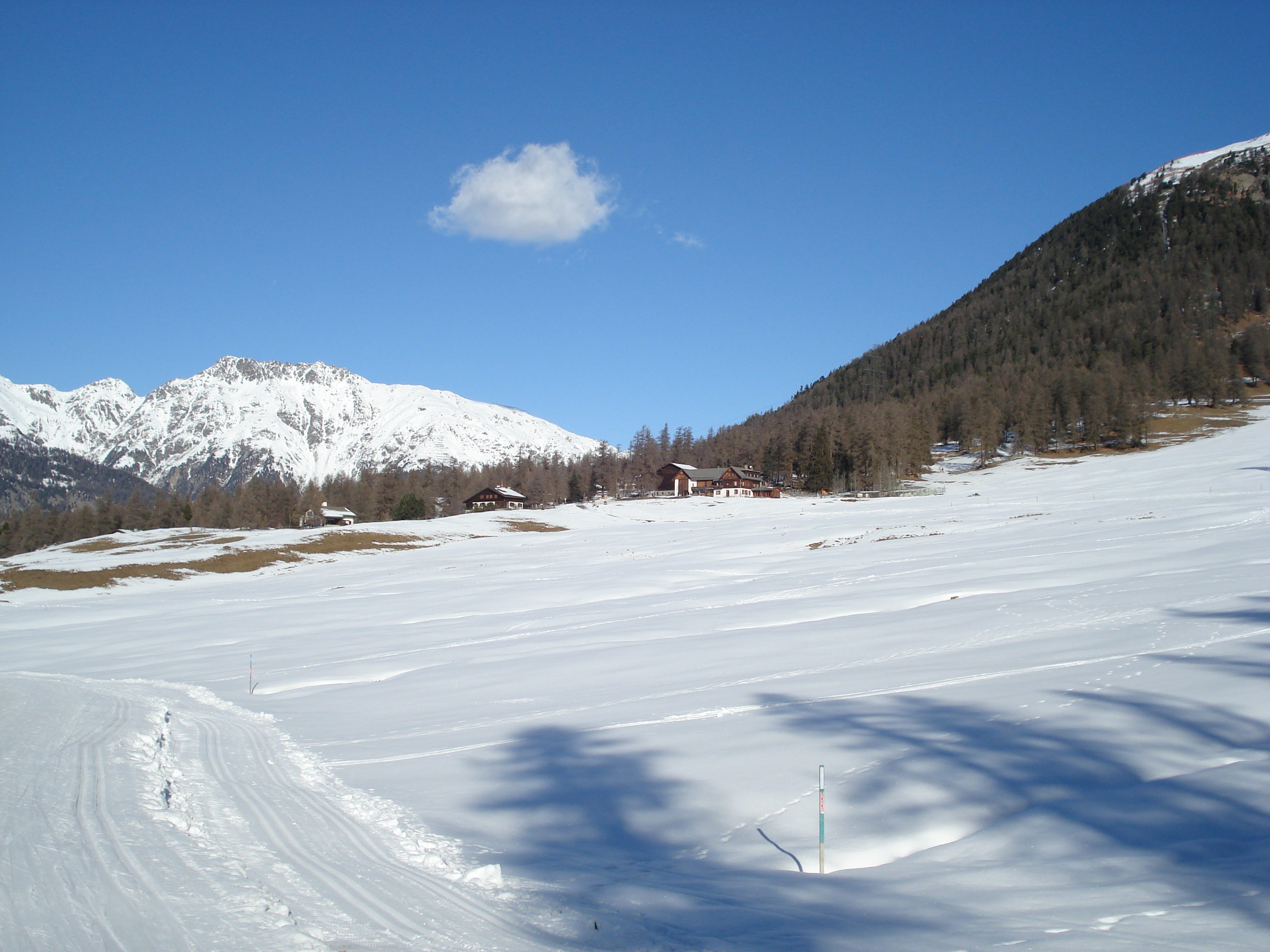 Picture Swiss Pontresina 2007-01 124 - Center Pontresina